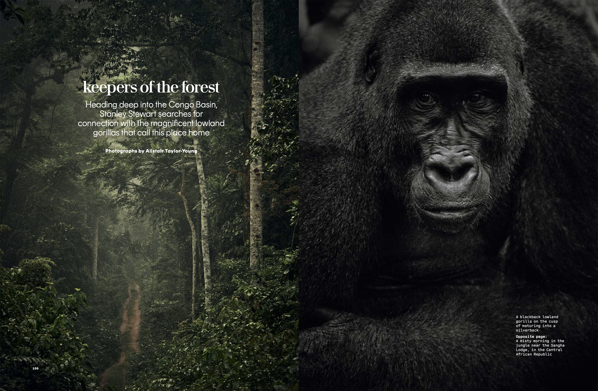 congo1.png