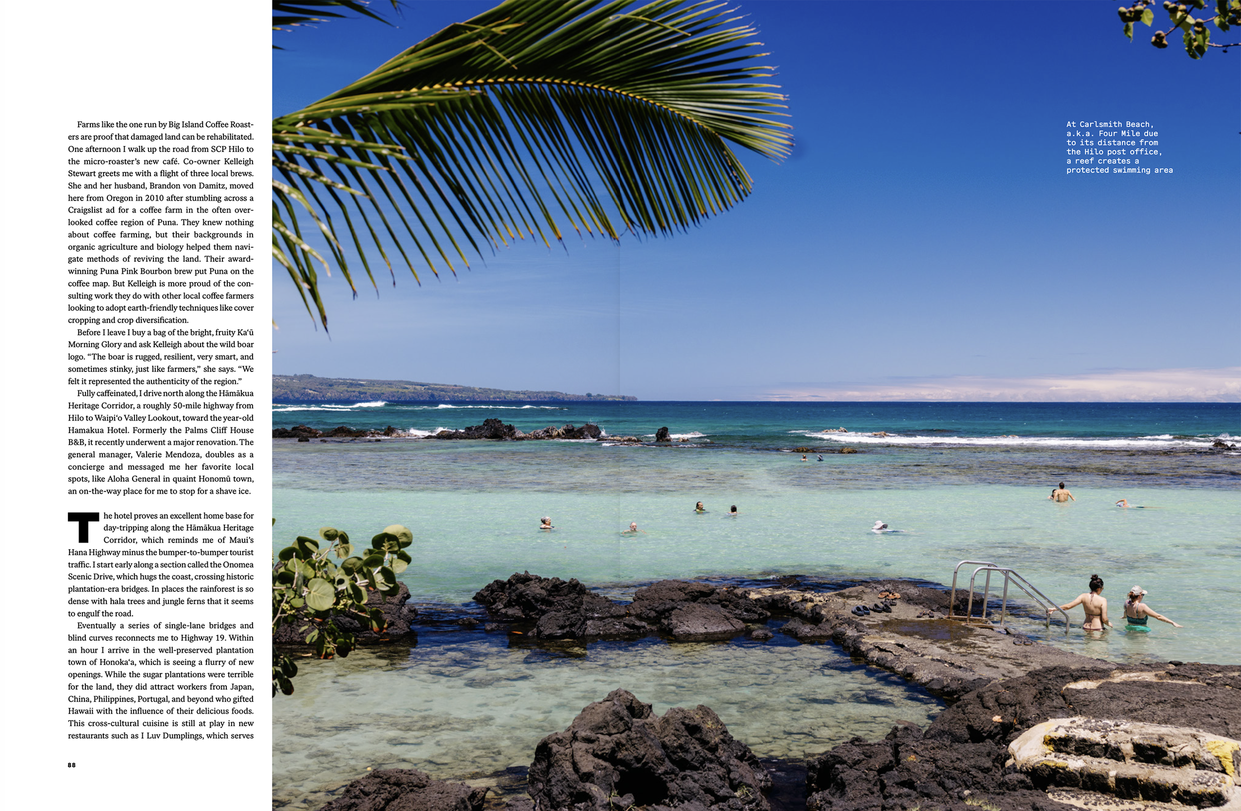 bigisland4.png