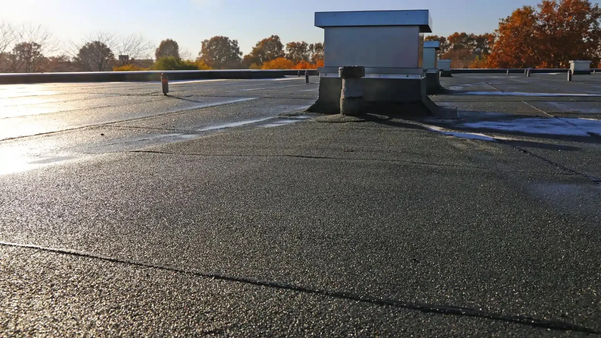 Flat-Roof-Repair-Debris-Removal-Cherry-Town-Commercial-Roofing-Michigan.jpeg