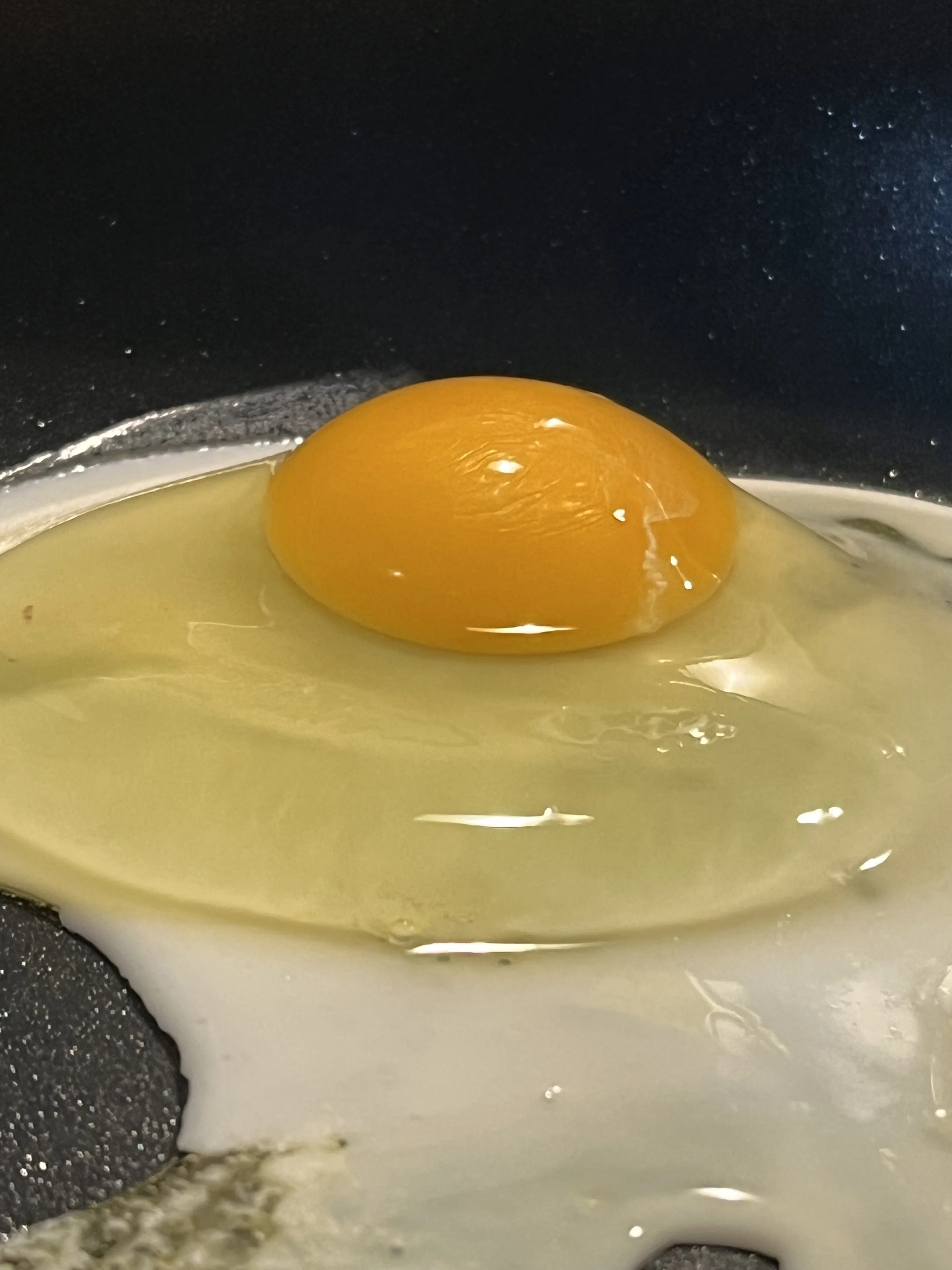 Pasture Raised Eggs