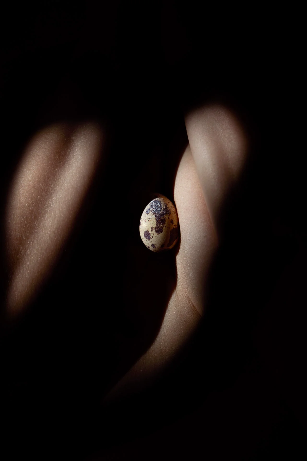 boob egg 21.jpg