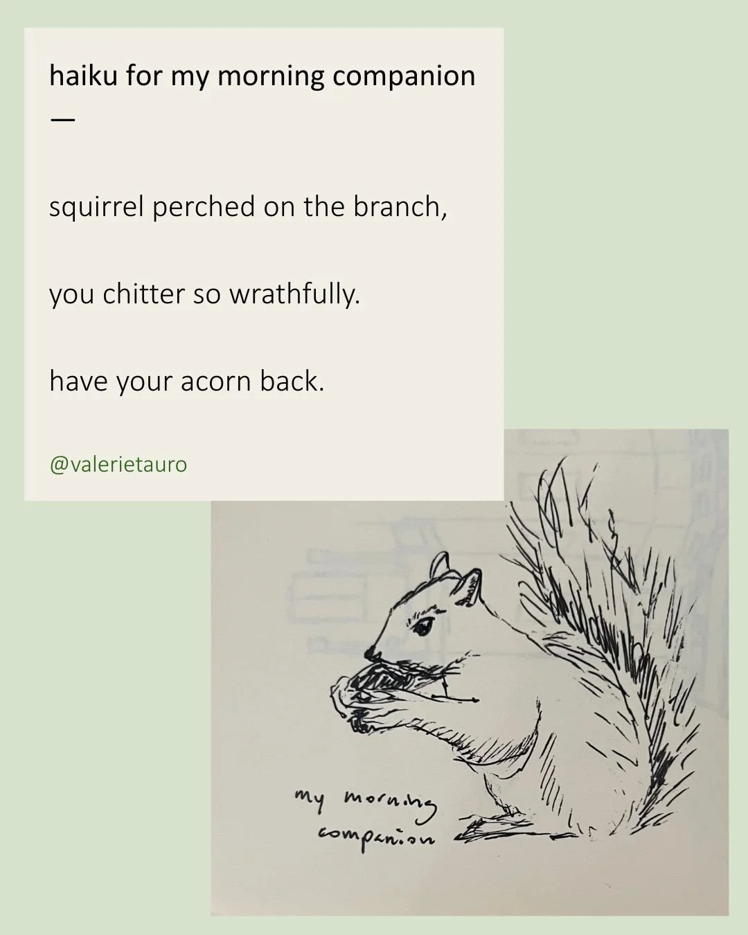 Image of "haiku for my morning companion" found on linked page of self-published work