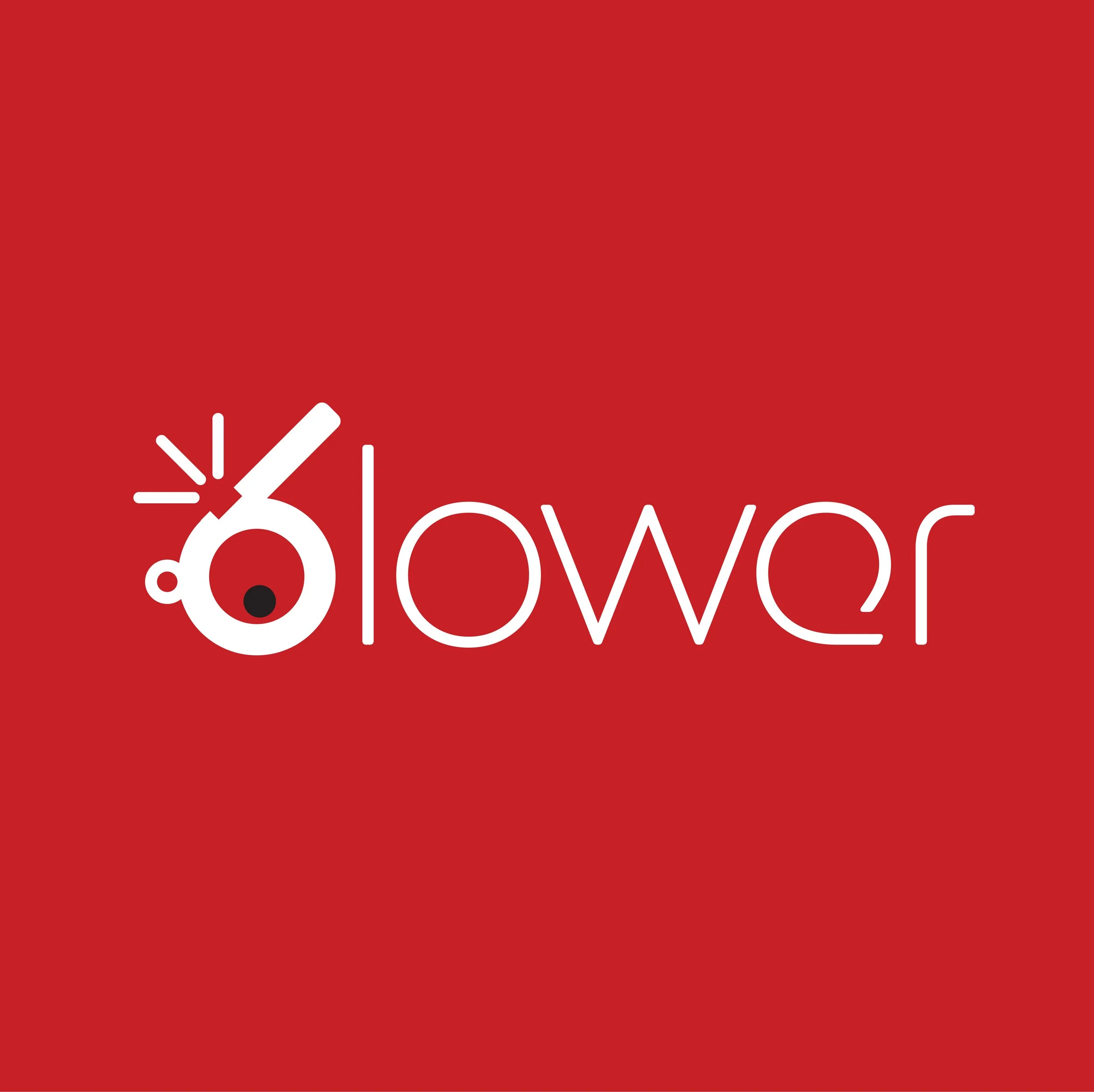 Blower-1.jpg