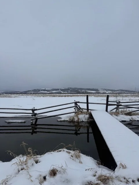 IMG_2151.jpeg