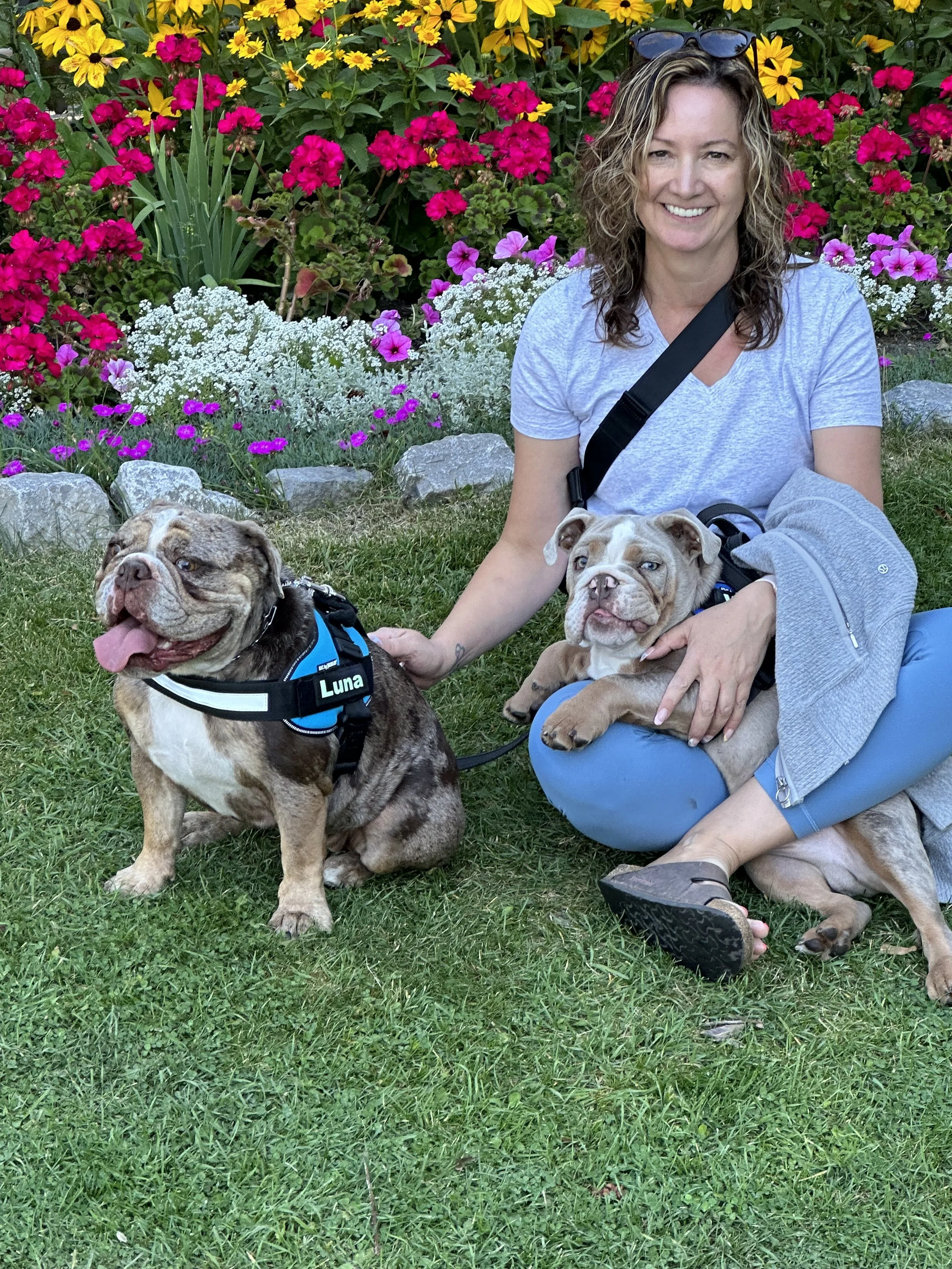 an image of myself sitting on green grass with colourful flowers behind.  One bulldog sitting beside me and one laying on my lap.