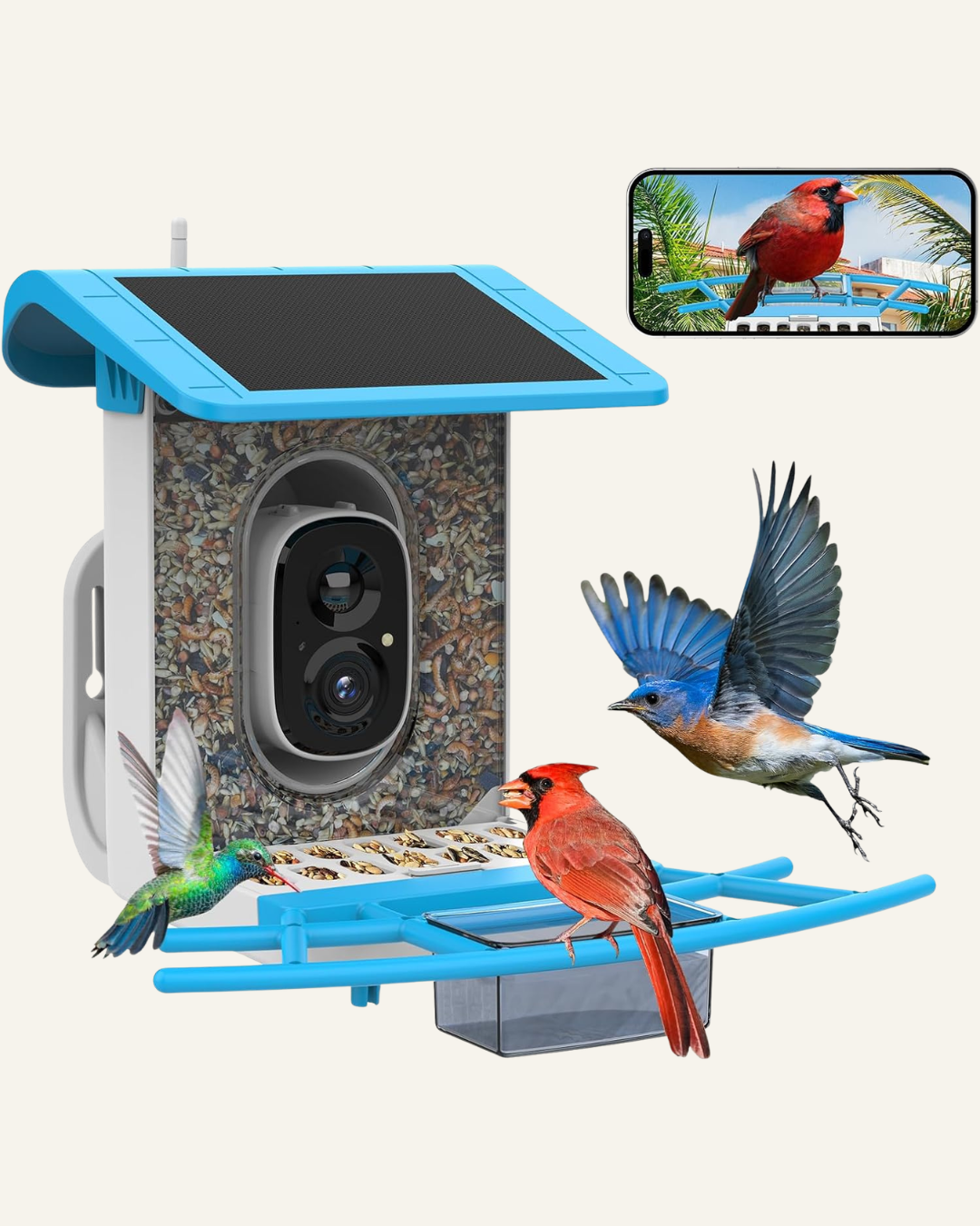 blue smart bird feeder with a red, green and blue bird eating. shows image on a phone screen too.