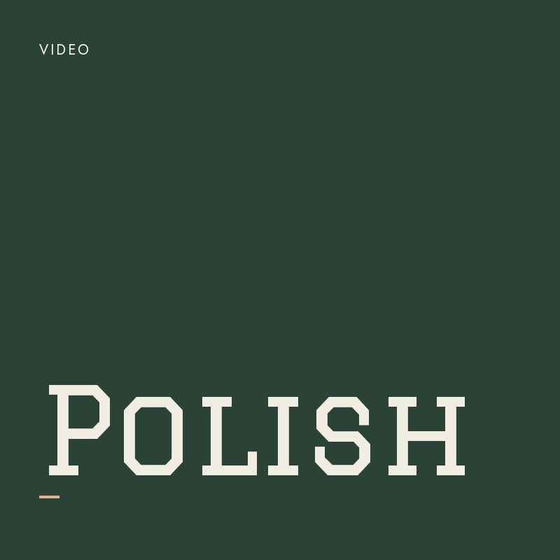 Give It A Polish (Video Edition)