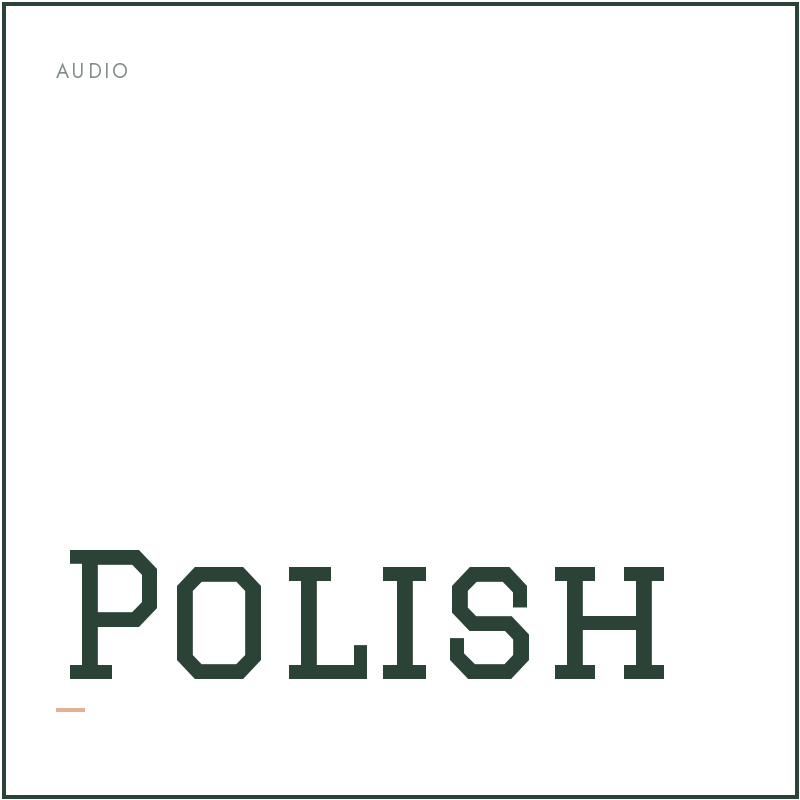 Give It A Polish (Audio Edition)