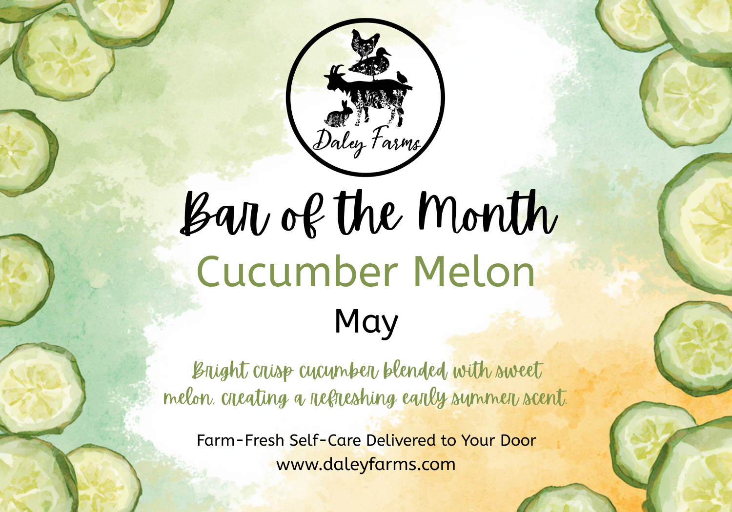 Colorful poster promoting cucumber melon as the 'Bar of the Month' for May at Daley Farms, featuring slices of cucumber around the edges, and showcasing the Daley Farms logo at the top.
