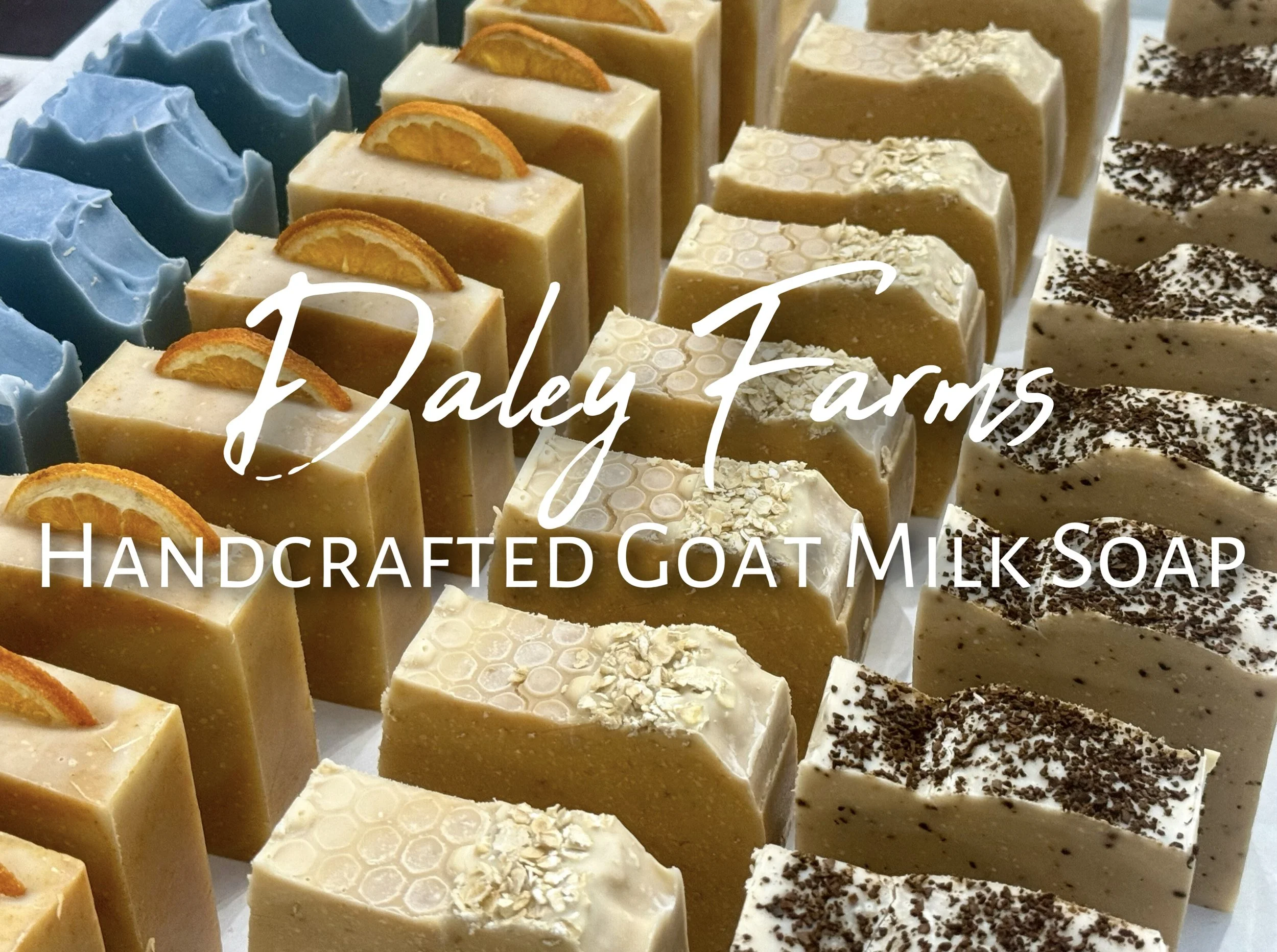 A variety of handcrafted goat milk soaps with different colors and toppings, including dried orange slices, honeycomb pattern, oats, and cocoa powder, arranged in rows.