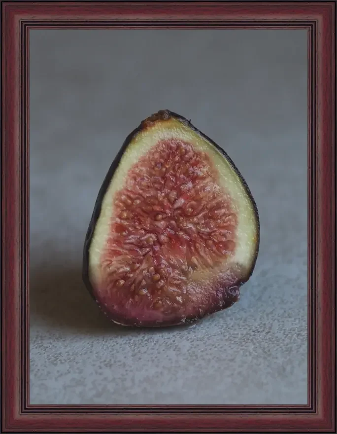 Fruit of Shame (Fig)