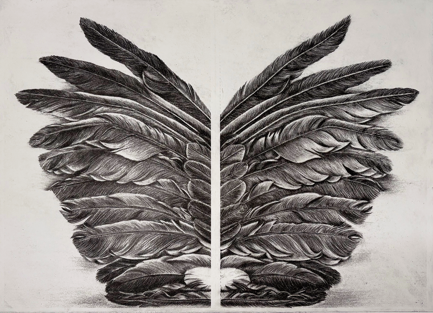'Her Wings Opened' | Charcoal drawing, Photopolymer Print | 2025