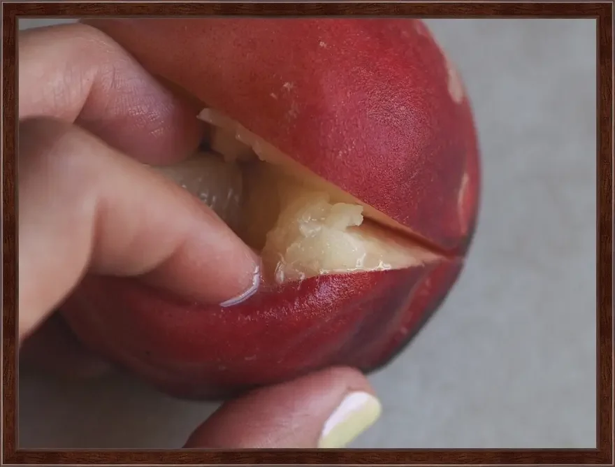 Curiosity Prevails (Peach)