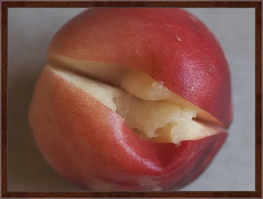 The Tempter (Peach)