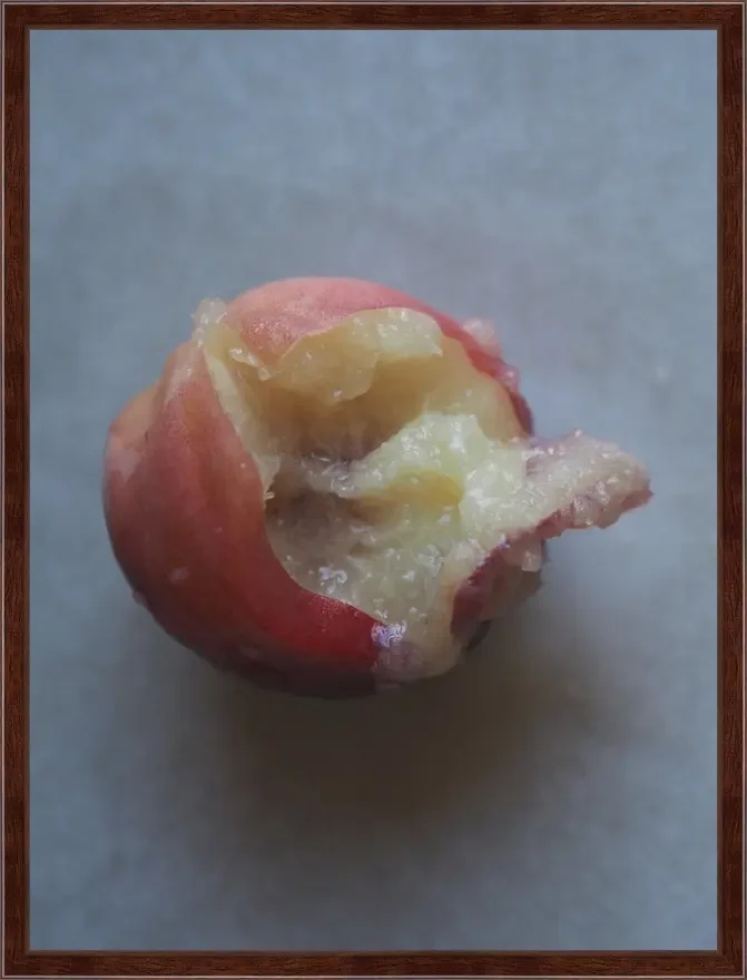 Opening (Peach)