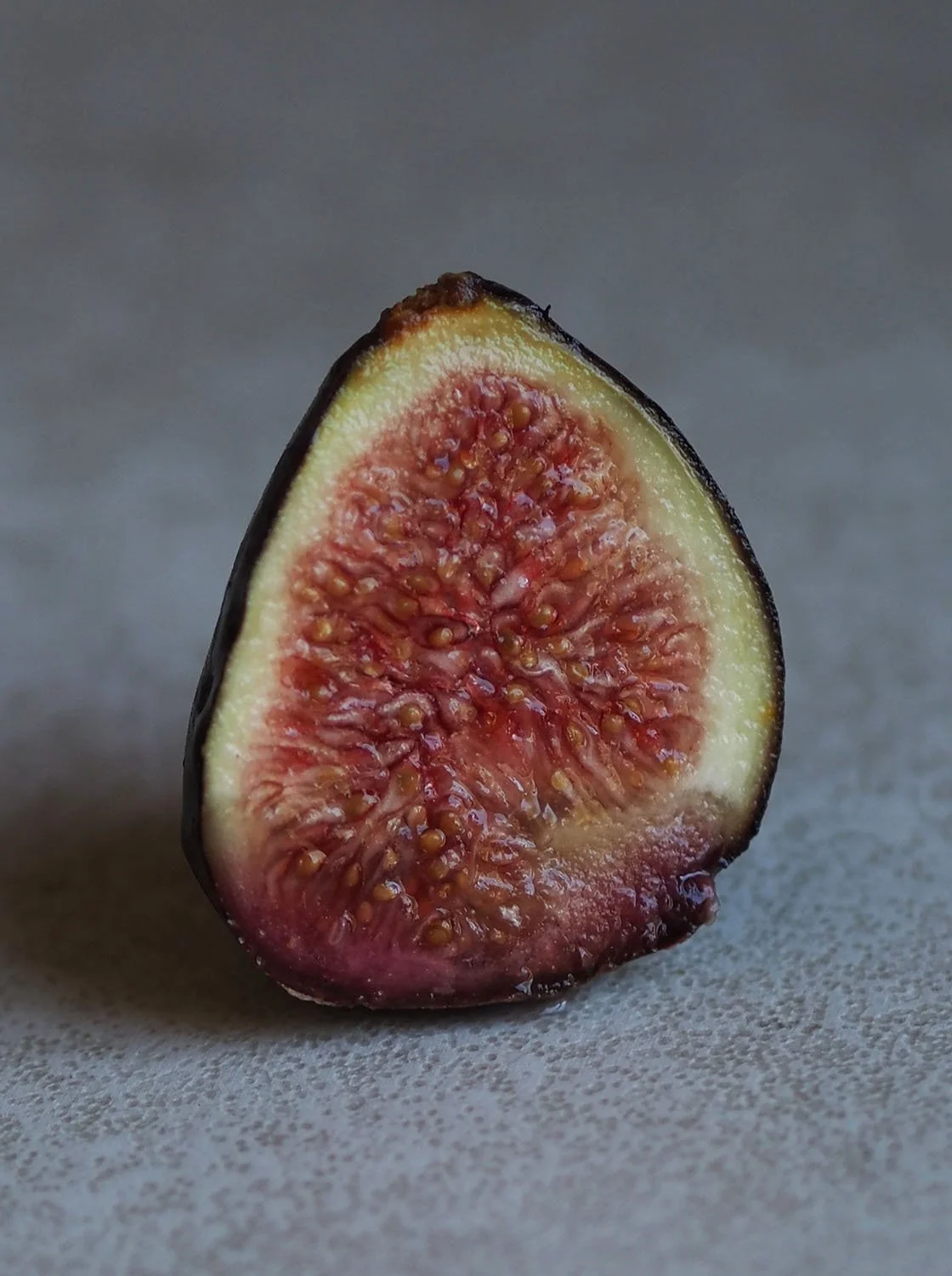 Fig1Small.jpg
