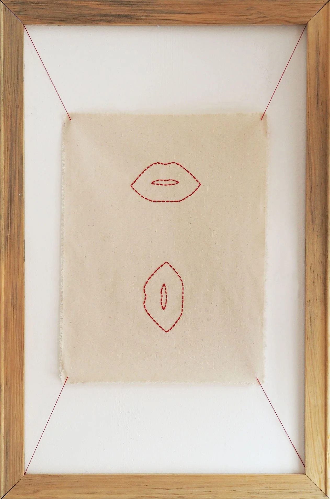 A Pair Of Lips