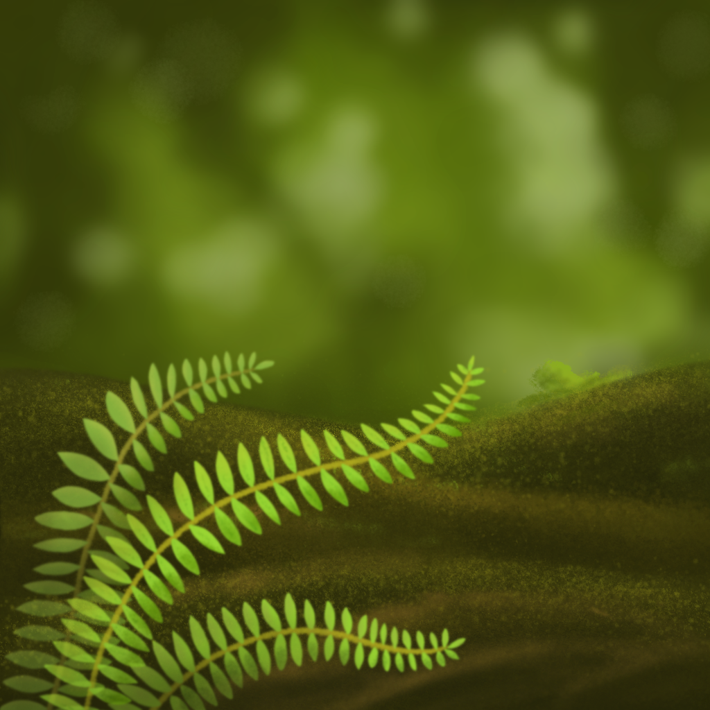 02_forest.png