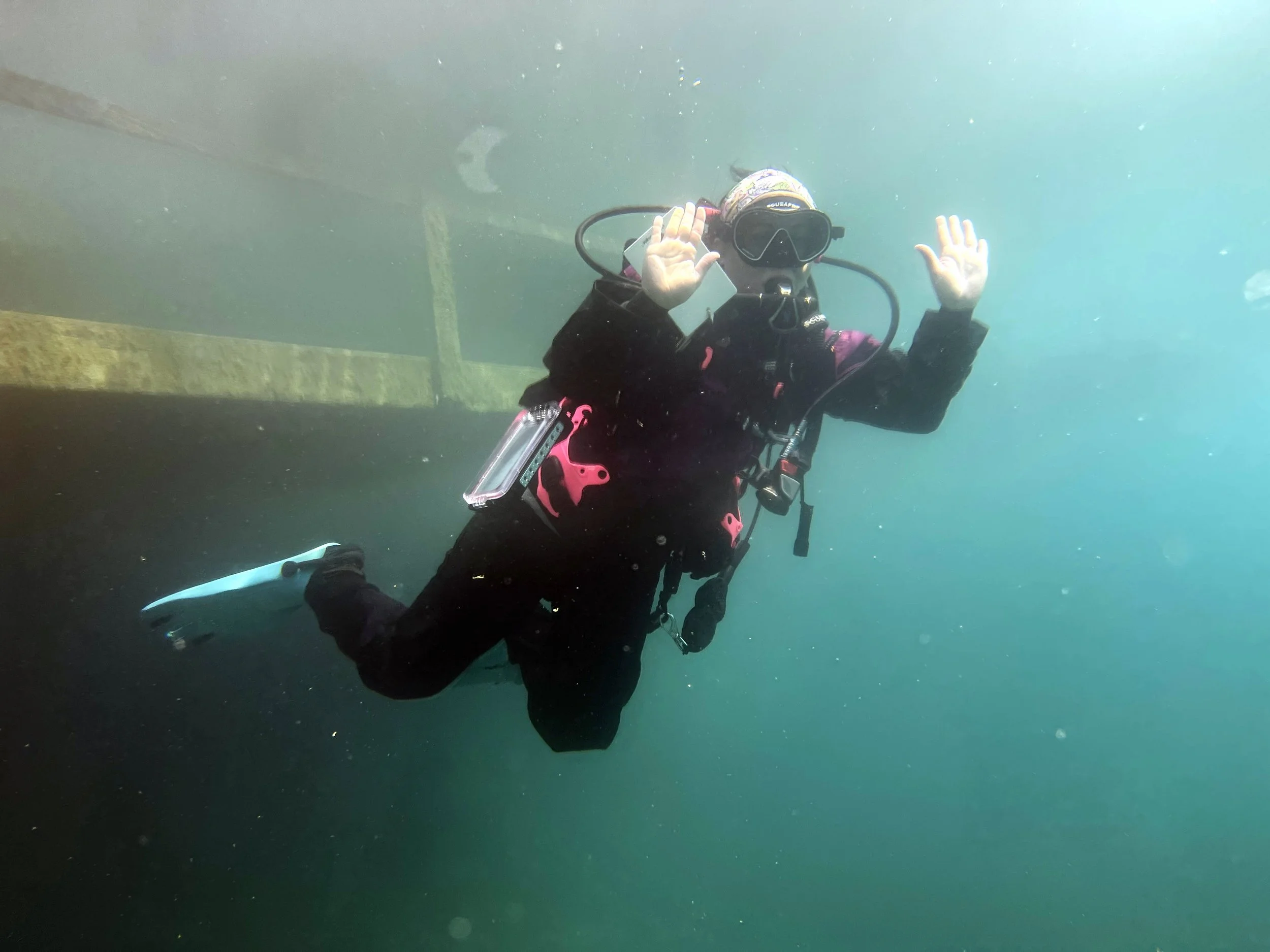 Drysuit scuba woman diving