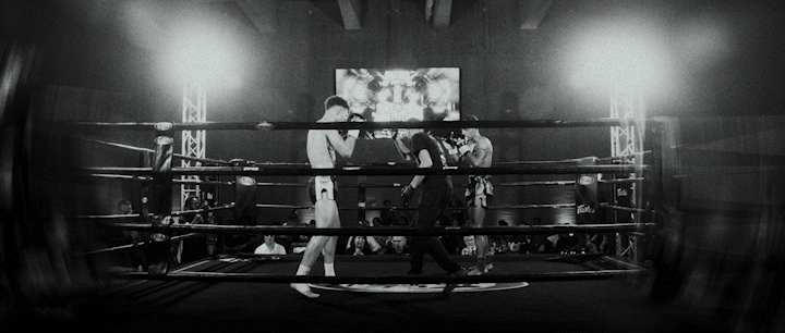 SHARKZ FIGHT / Fight Film