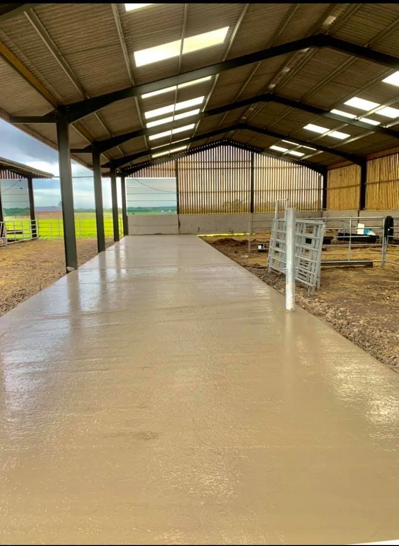 Concrete pathway inside a barn or livestock shelter with a metal roof and wooden walls, open on one side, with green fields visible in the background.