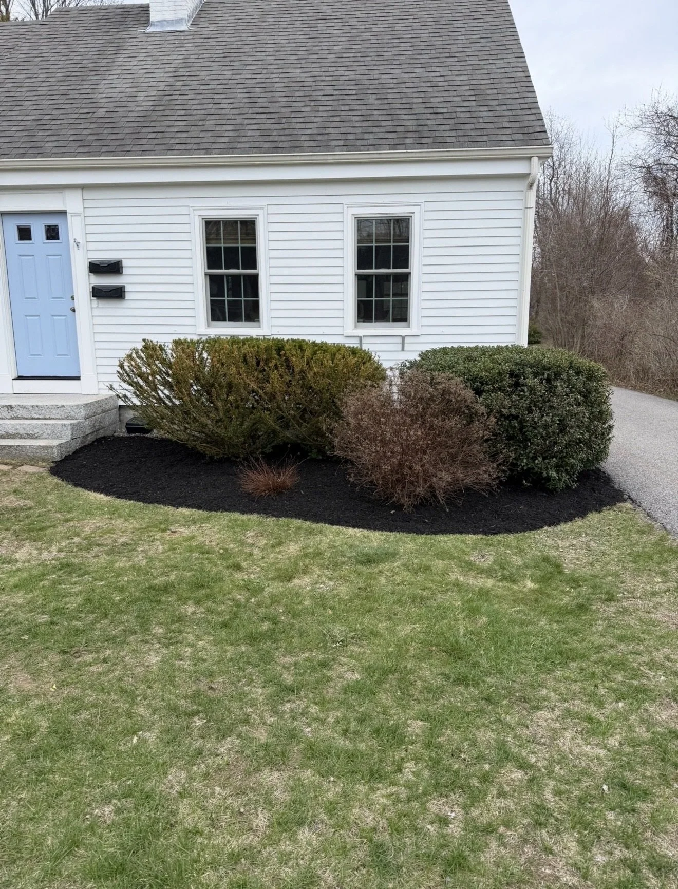 A house with white siding and a gray shingled roof, featuring a light blue front door, two black mailboxes, two windows, and a landscaped front yard with bushes, mulch, and a walkway.