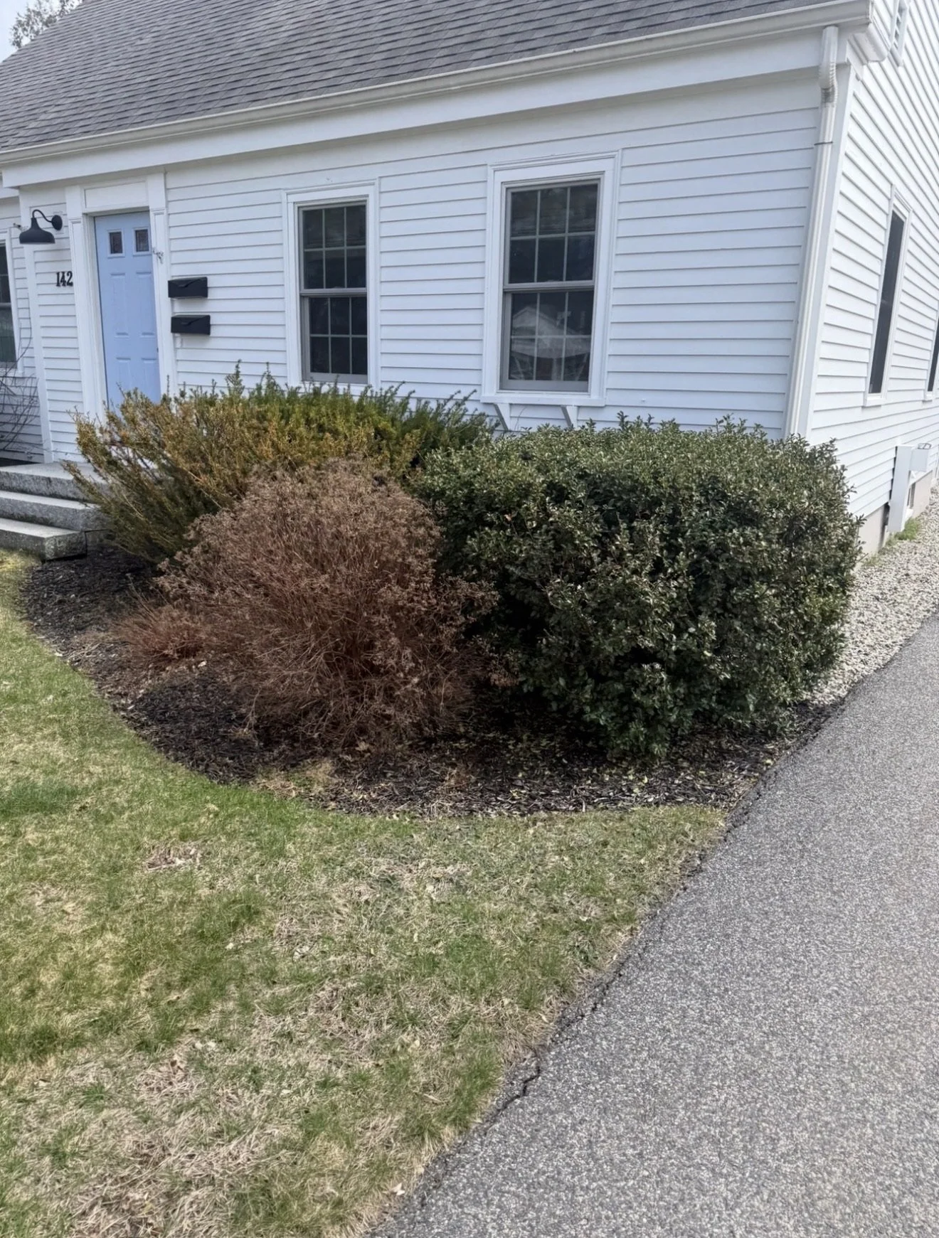 A suburban house with white siding and a dark roof, front steps, two windows, and a black mailbox on the door. Bushes and plants are in the front yard, with a gravel and grassy area along the sidewalk.