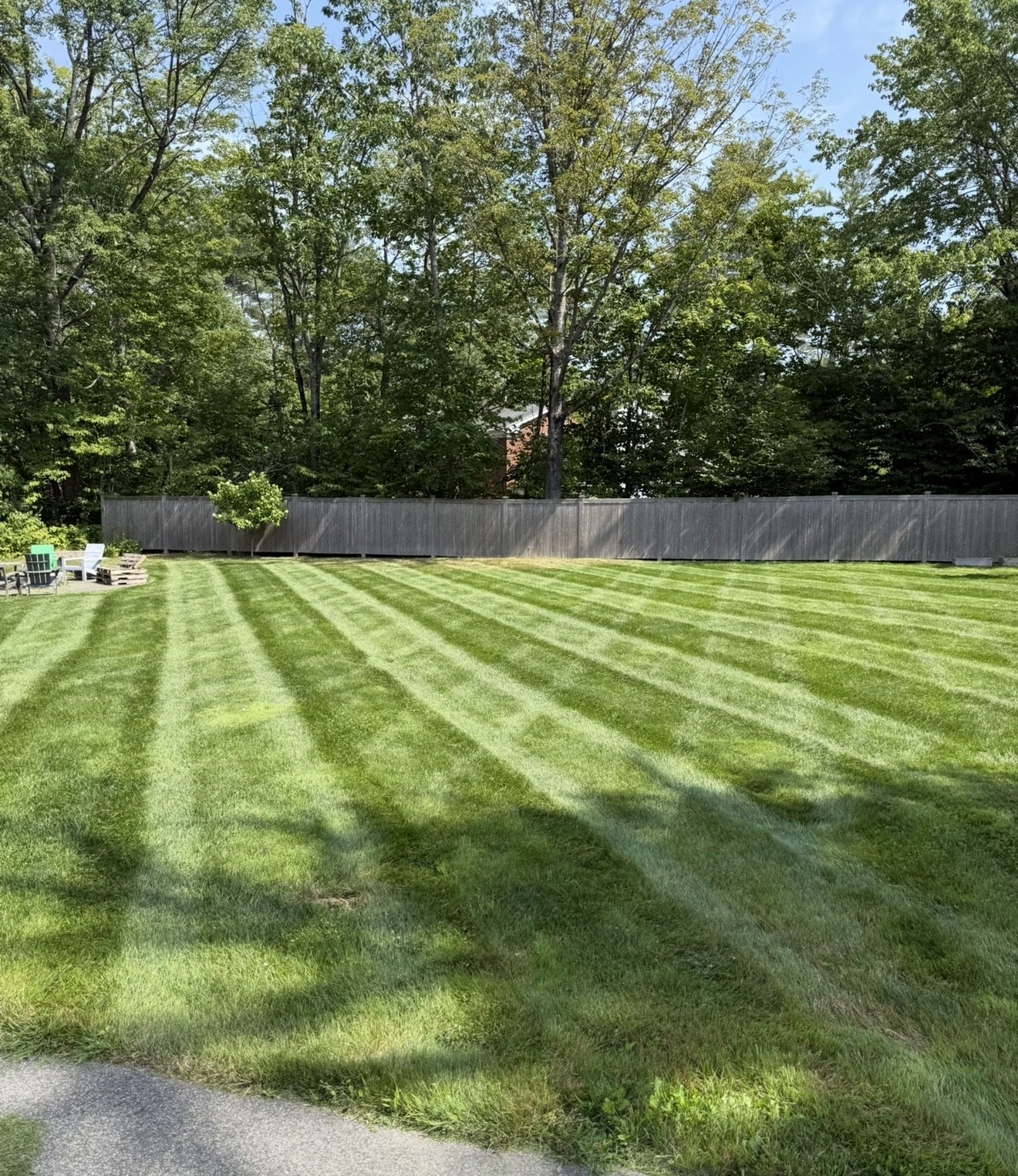 Well-maintained green lawn with alternating light and dark stripes, surrounded by a wooden fence and tall trees in the background on a sunny day.