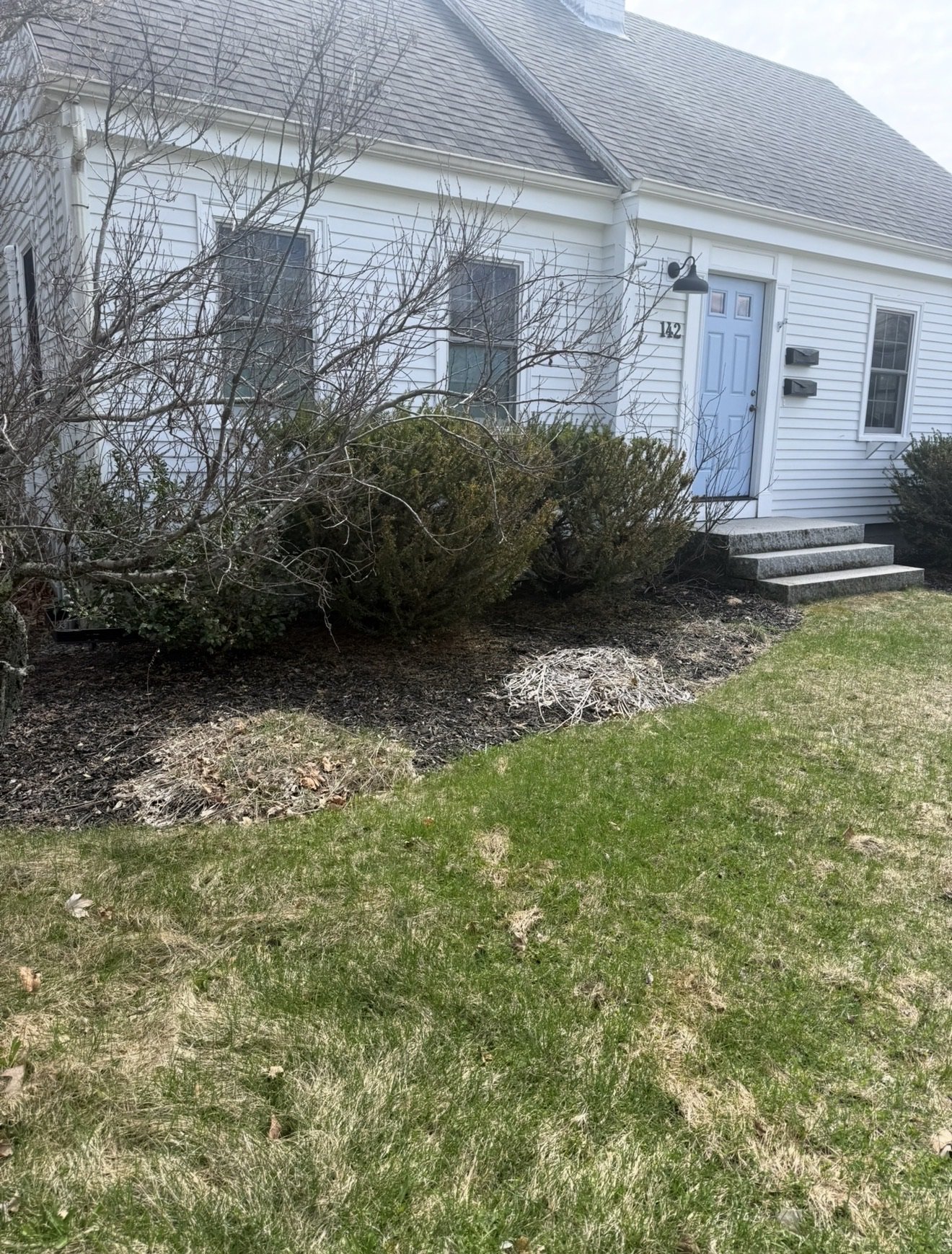 Front yard with green grass, bare shrubs, and a small garden bed next to a white house with a light blue door, three stairs leading up to it, and two black mailboxes.