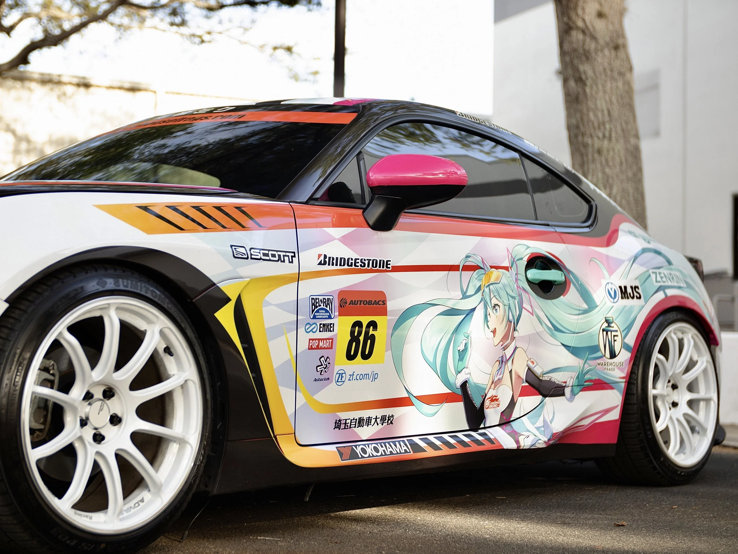 IMG_2237.jpg