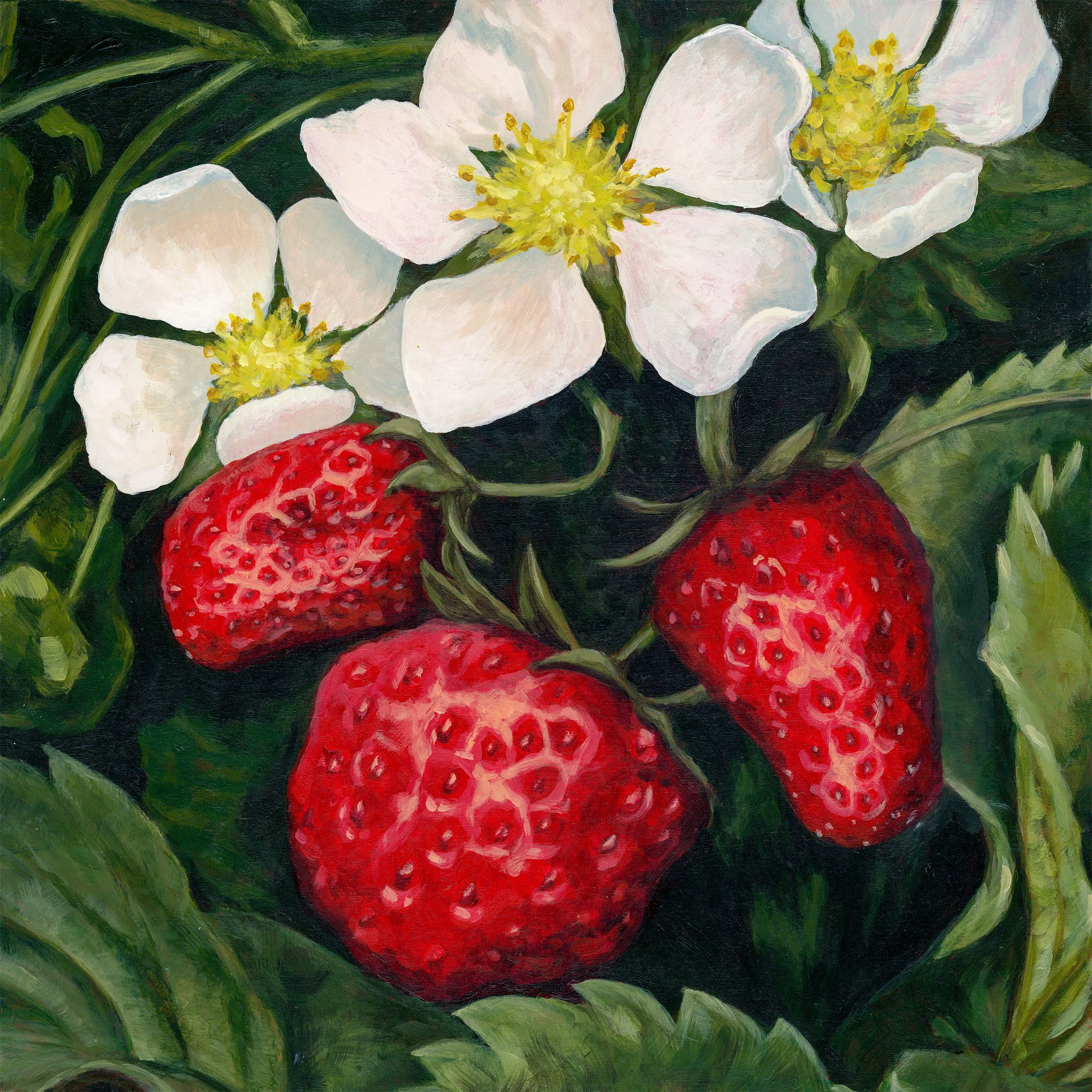 Smith Stawberries 12x12.jpg