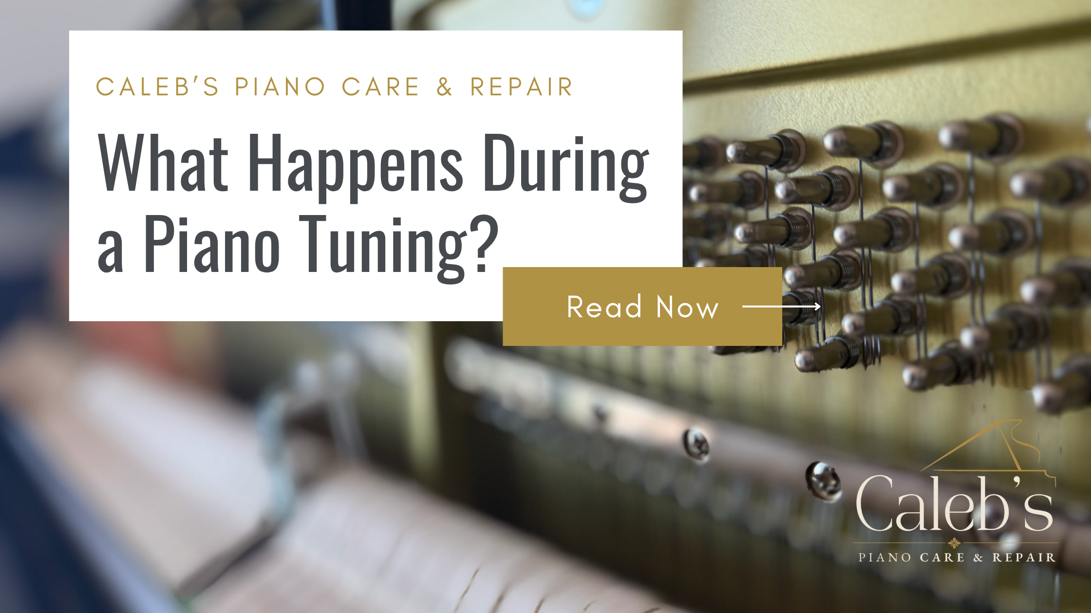 What Happens During a Piano Tuning Appointment?