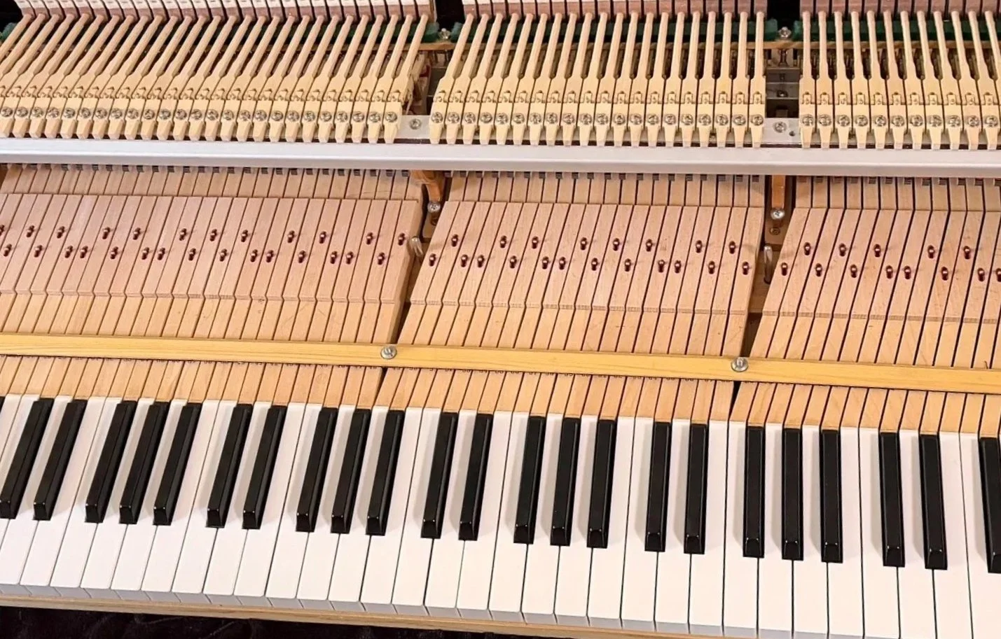 Close-up of an open piano with visible hammers and strings, showing the keys, piano action, and internal wooden components.