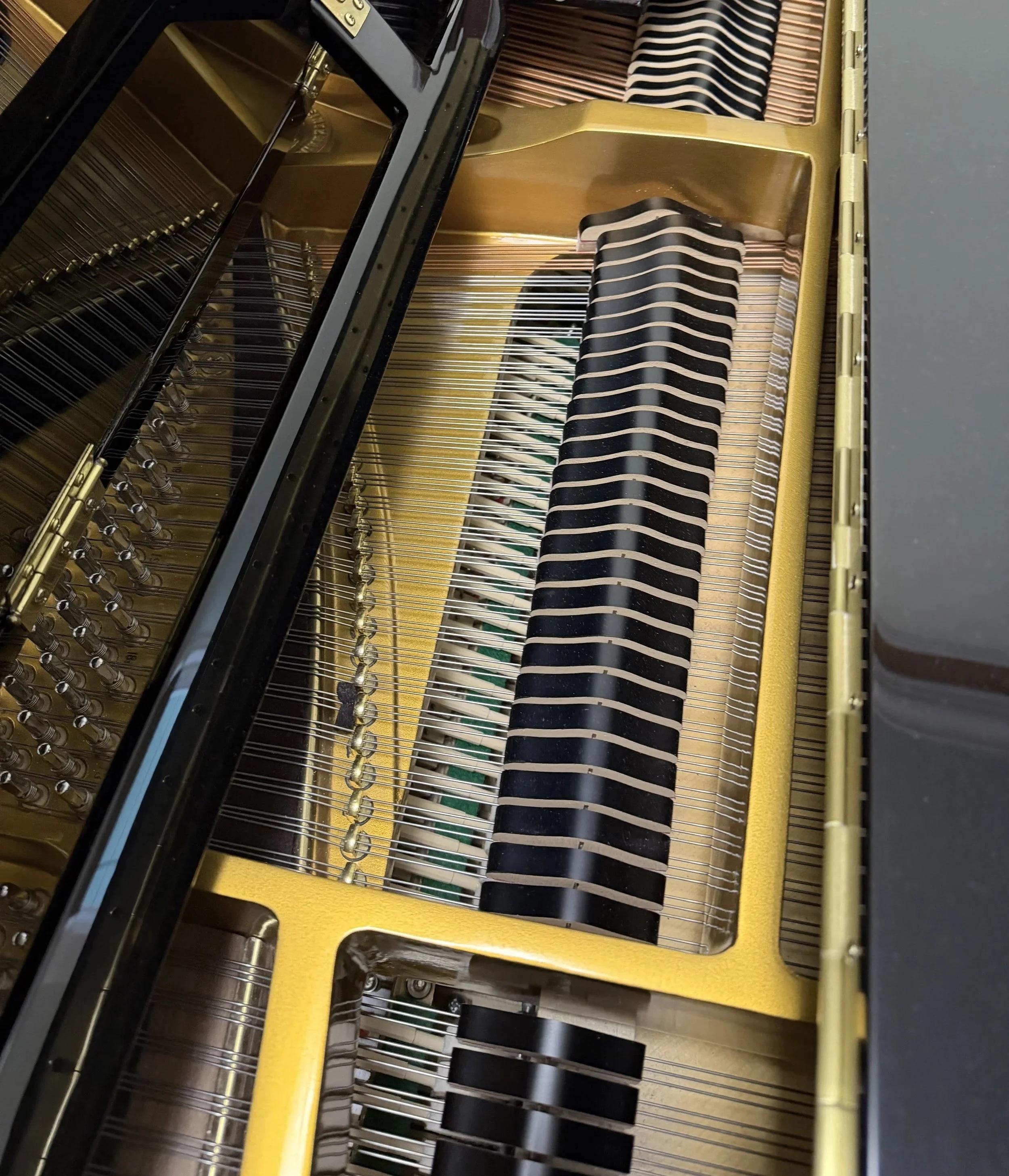 Piano tuning and interior cleaning service for a grand piano