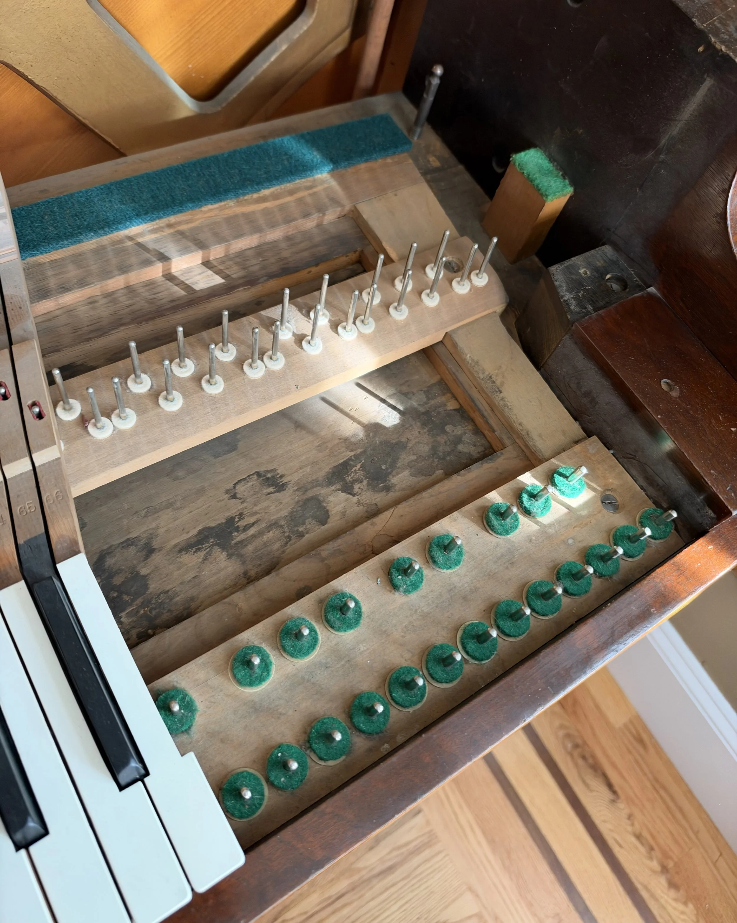 After piano interior cleaning - Nest removed and interior cleaned 