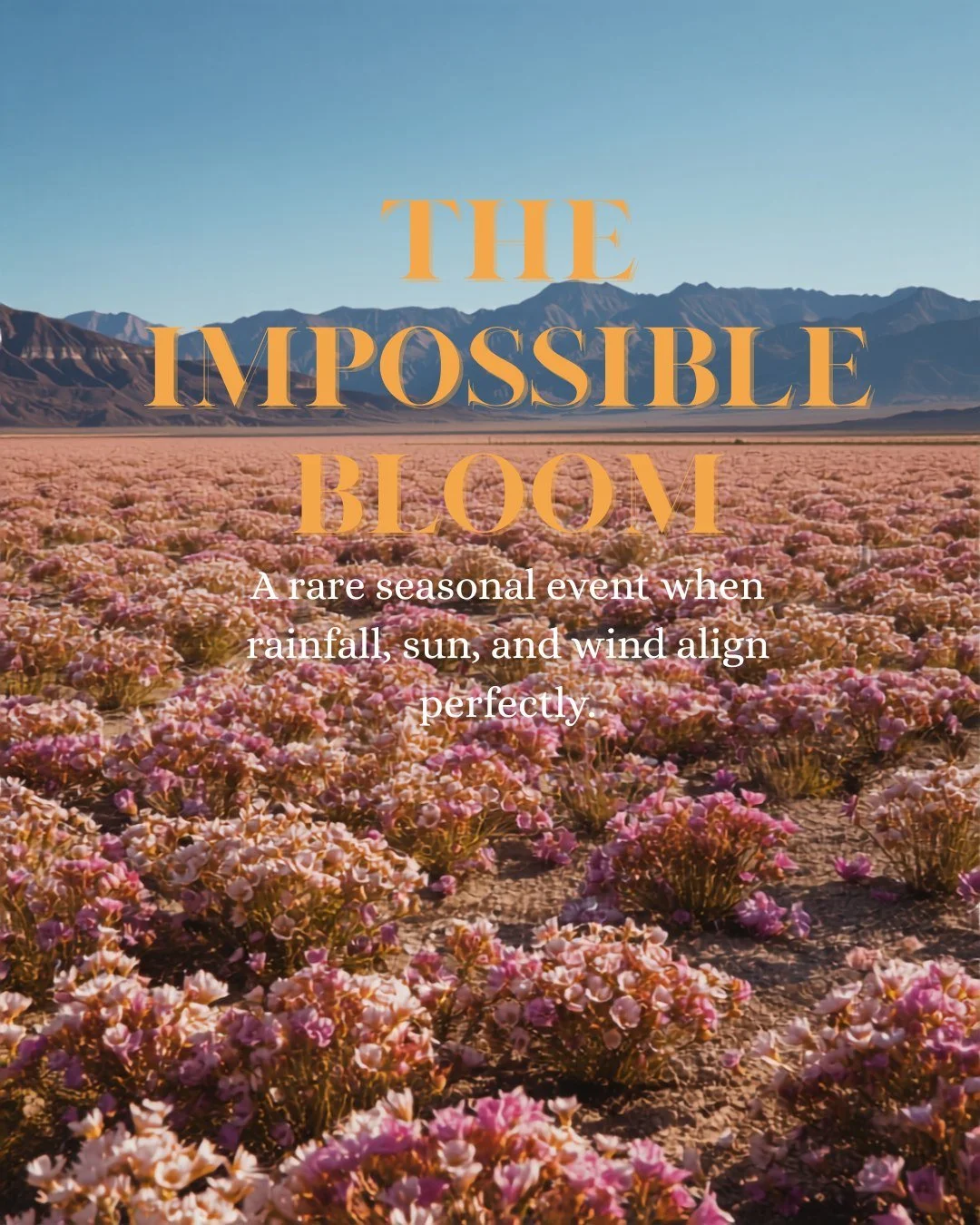 Death Valley holds the record for the hottest temperature ever recorded on Earth (134&deg;F). So why go in March?
Because it&rsquo;s the sweet spot! Spring brings milder temperatures before summer&rsquo;s brutal heat sets in, comfortable enough for h