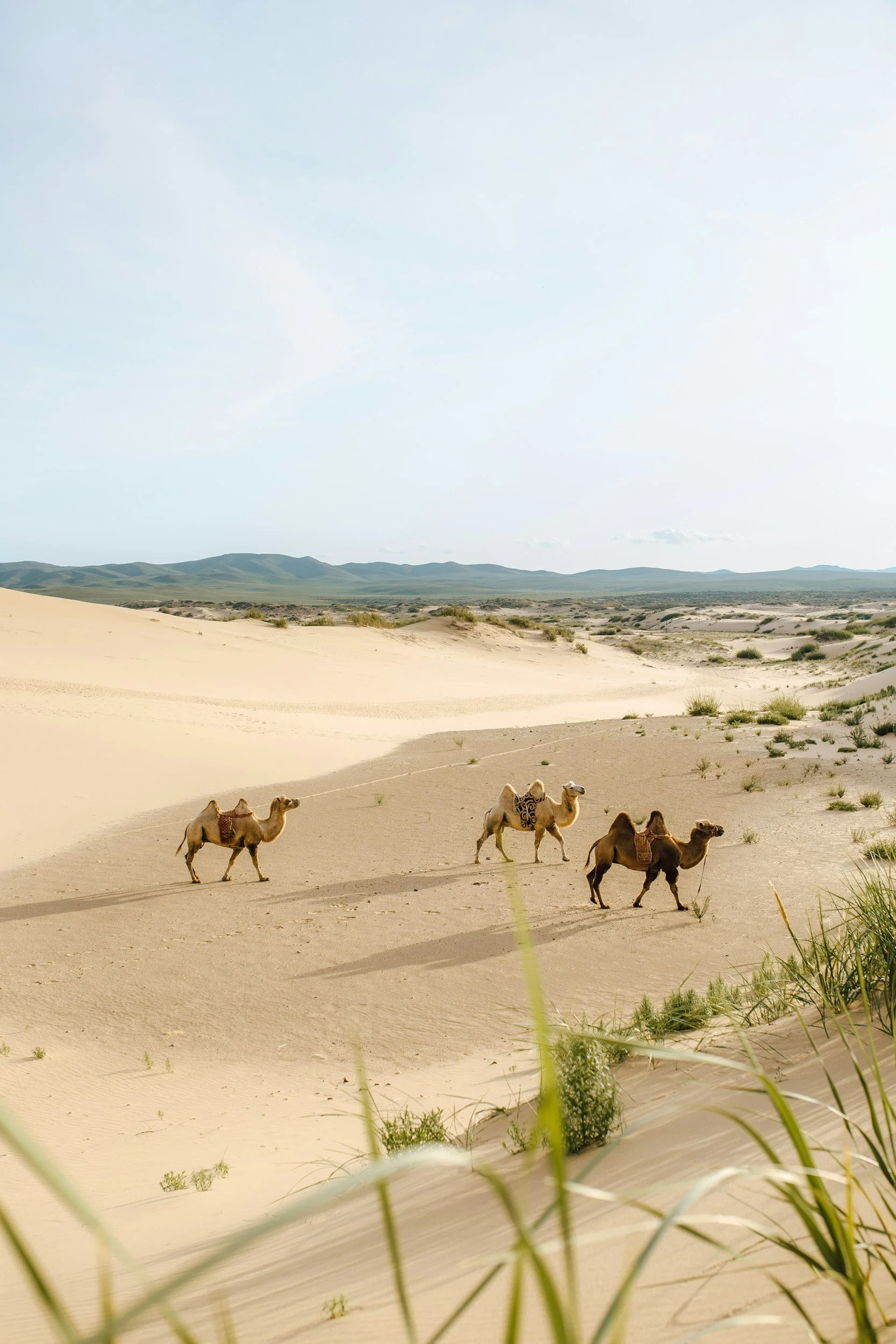 Ultimate Solitude Abroad: Patagonia, Namibia &amp; the Gobi Desert