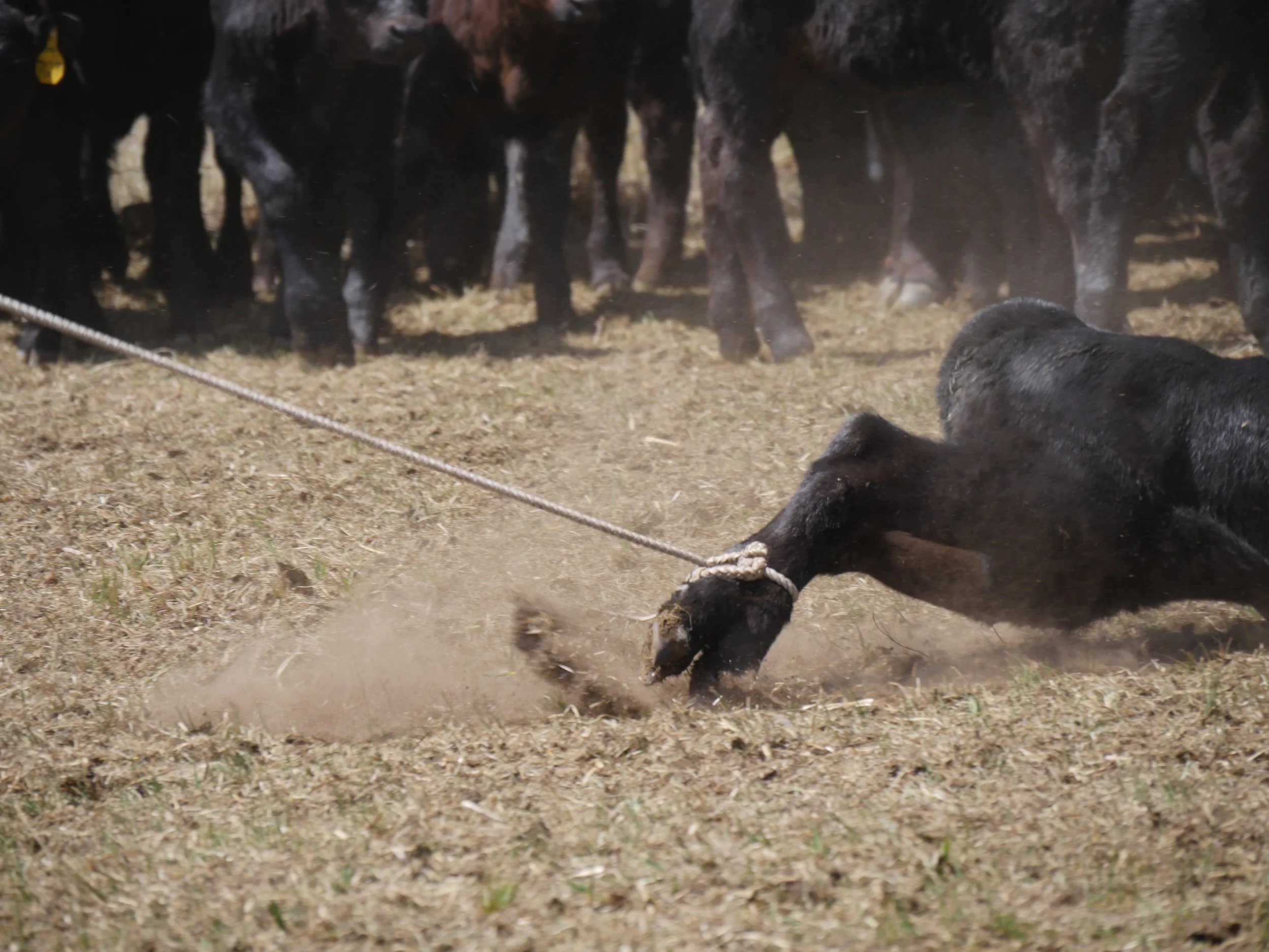 P1070044.jpg