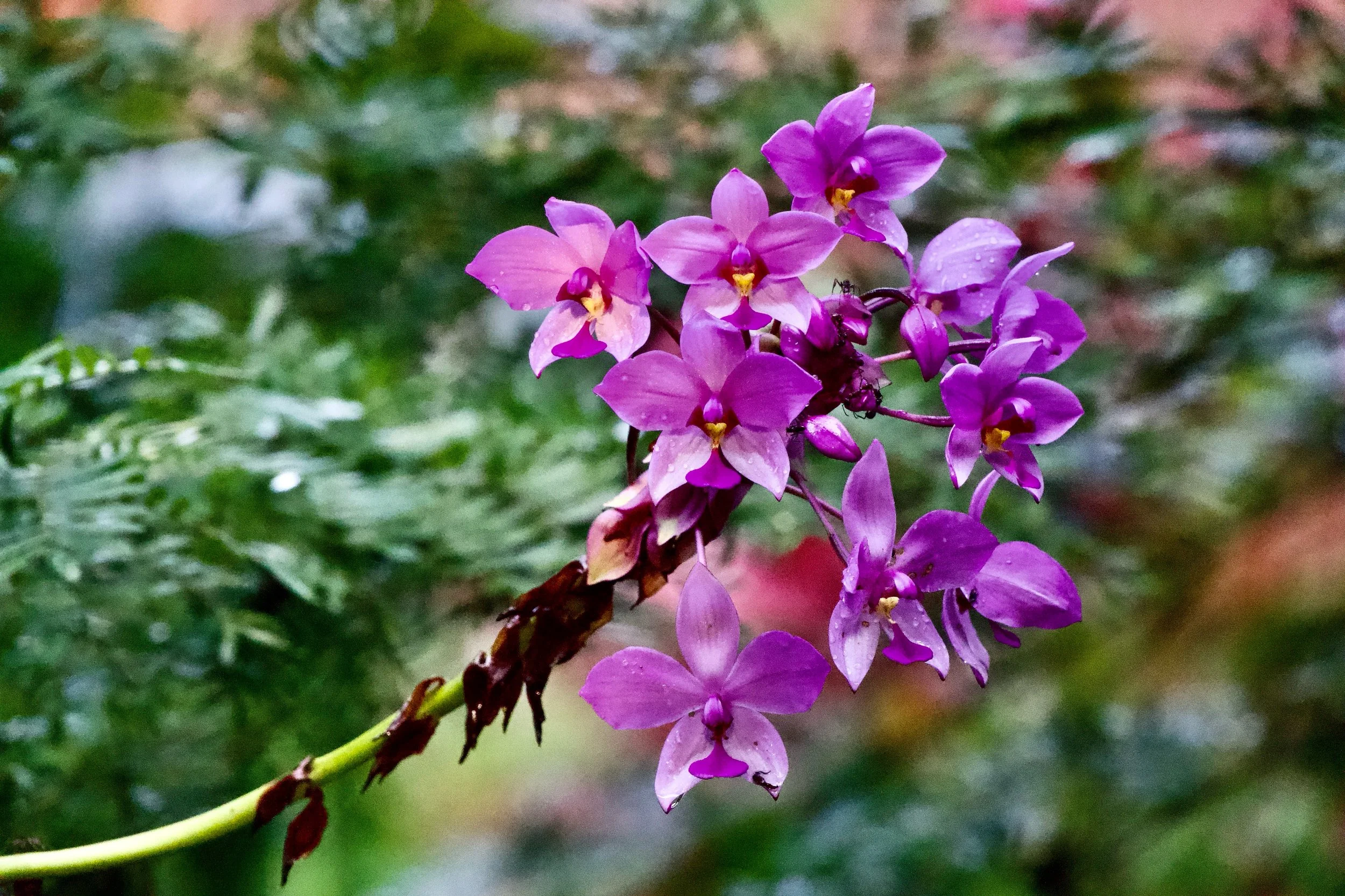 DSC00782.jpg