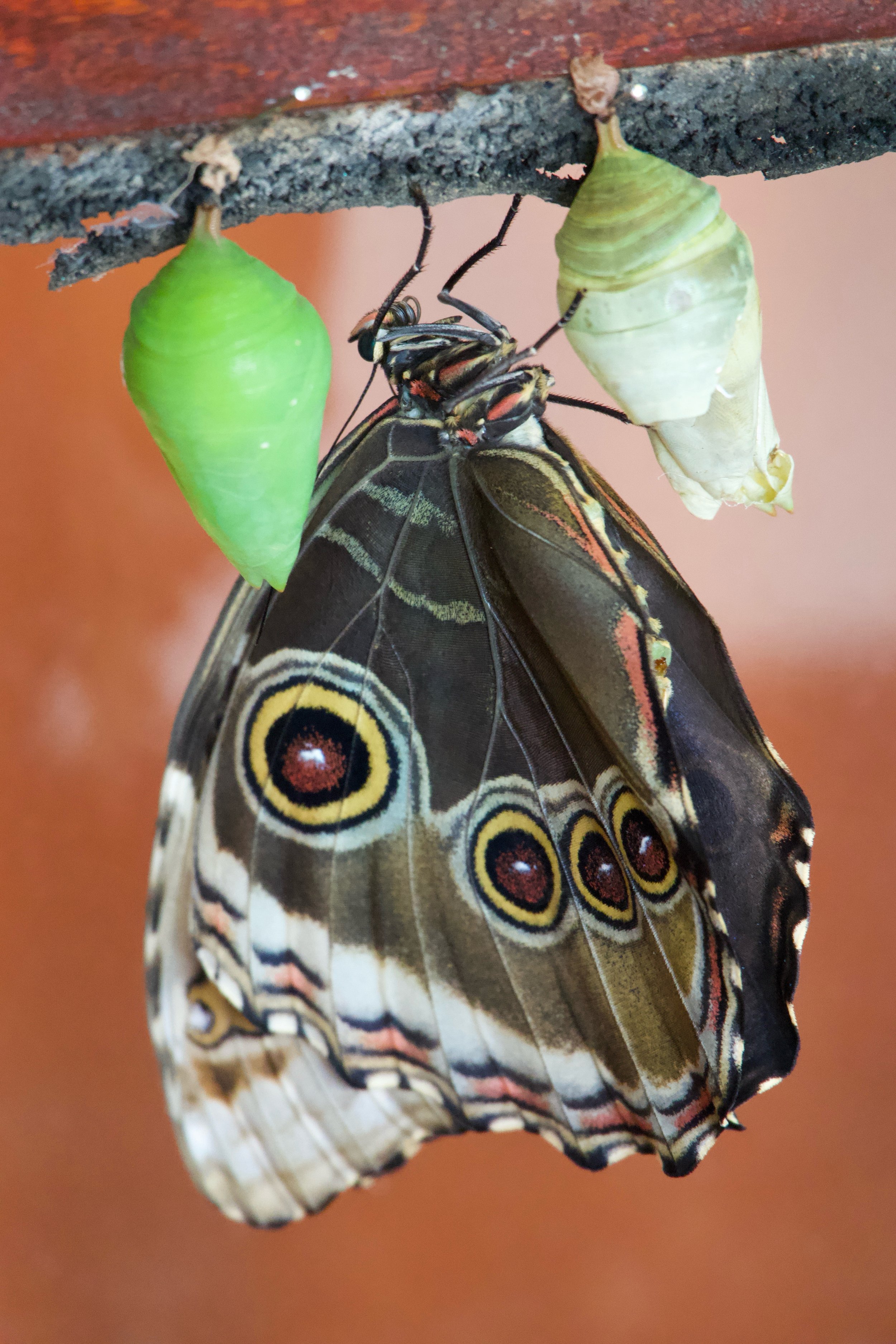 DSC00145.jpg