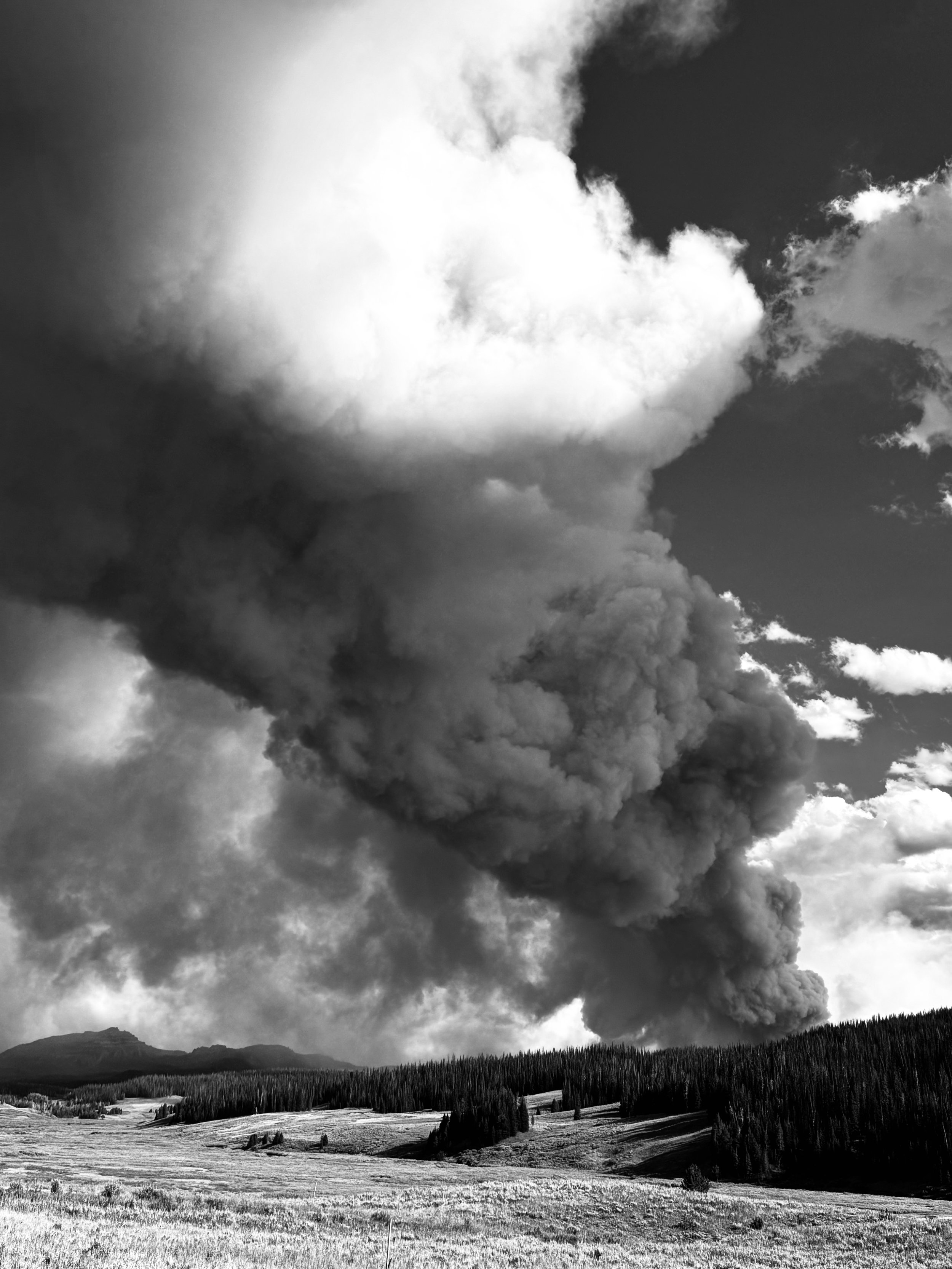IMG_1316.jpg