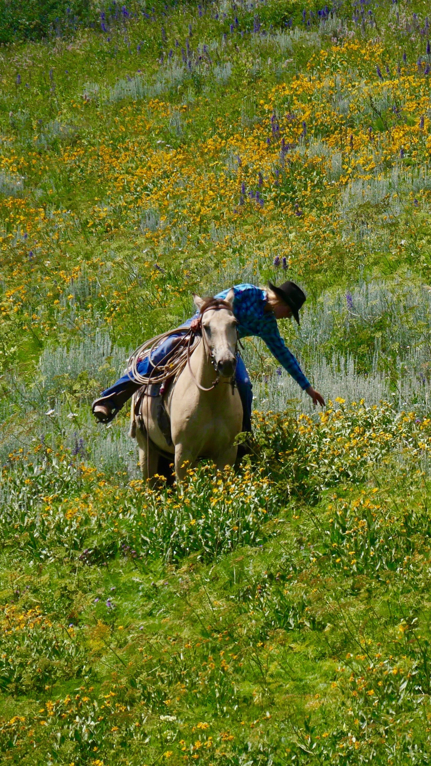 P1020576.jpg
