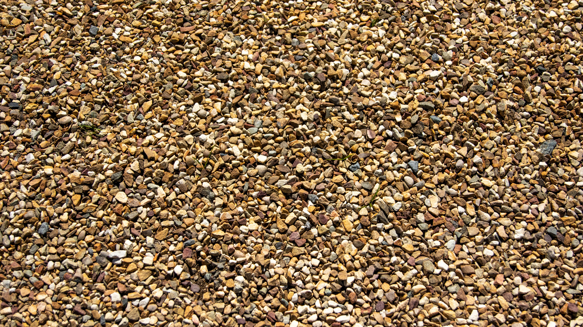 Close-up view of a gravel surface made up of small, multicolored rocks and pebbles with a few tiny green plants growing between them.
