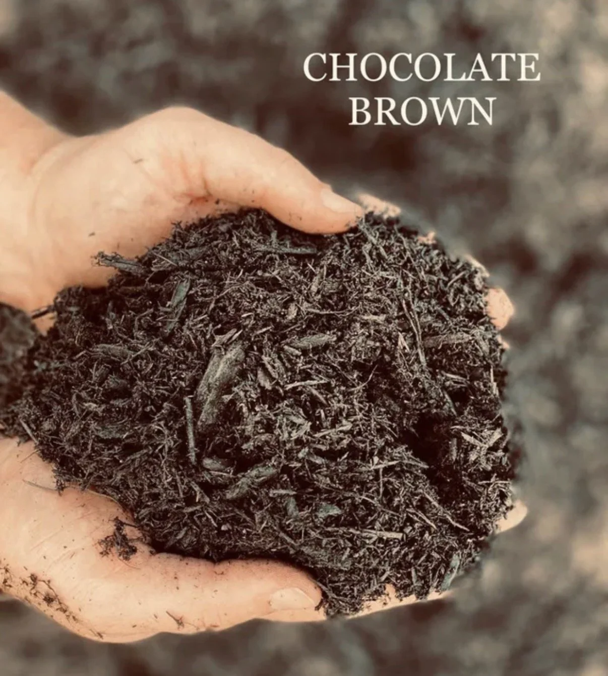 Close-up of a hand holding a handful of dark, crumbly soil labeled as 'Chocolate Brown'.