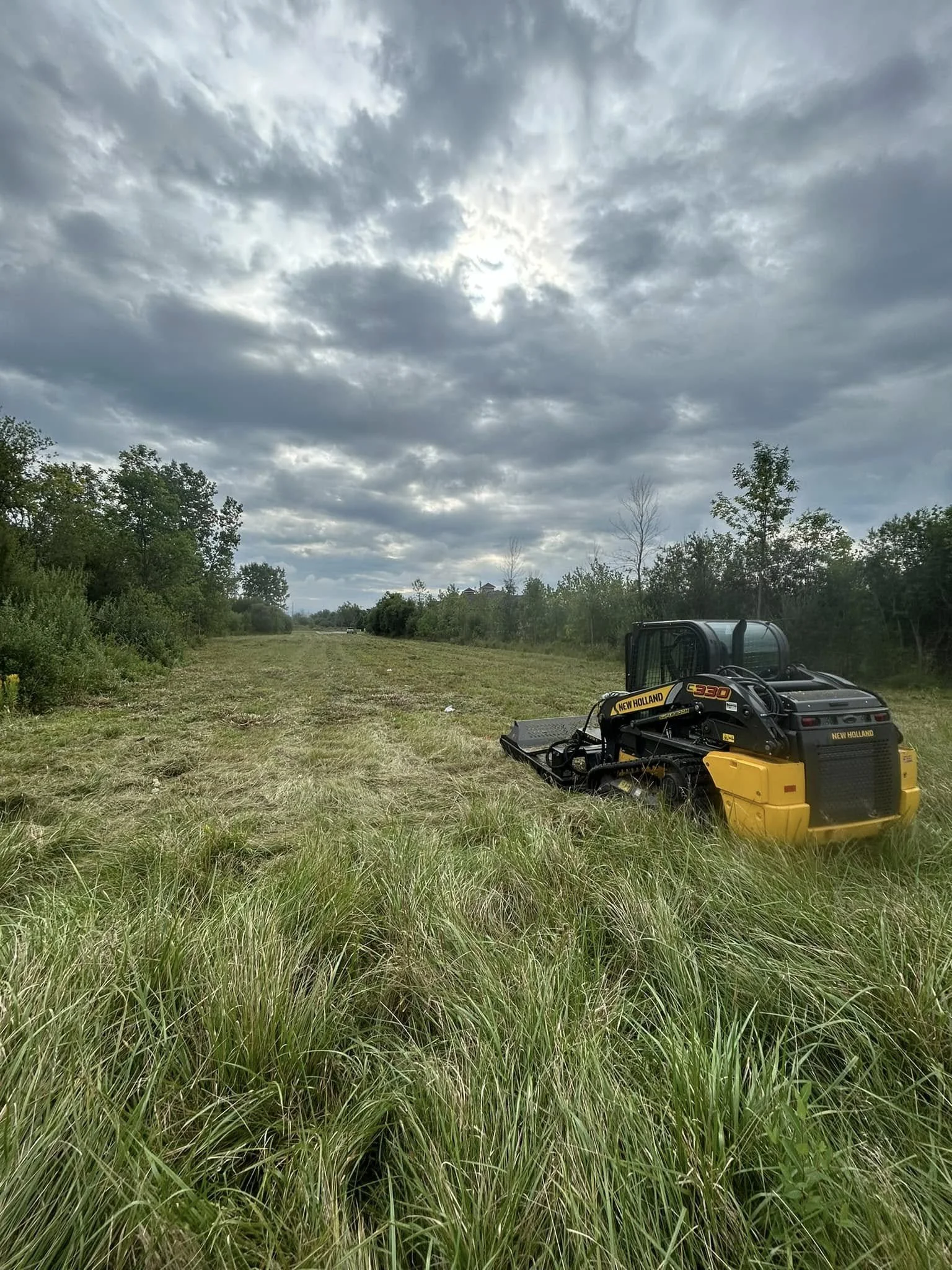 A cleared grassy field with tall grass in the foreground, trees lining the horizon, and a cloudy sky overhead. There is outdoor equipment on the right side of the image.