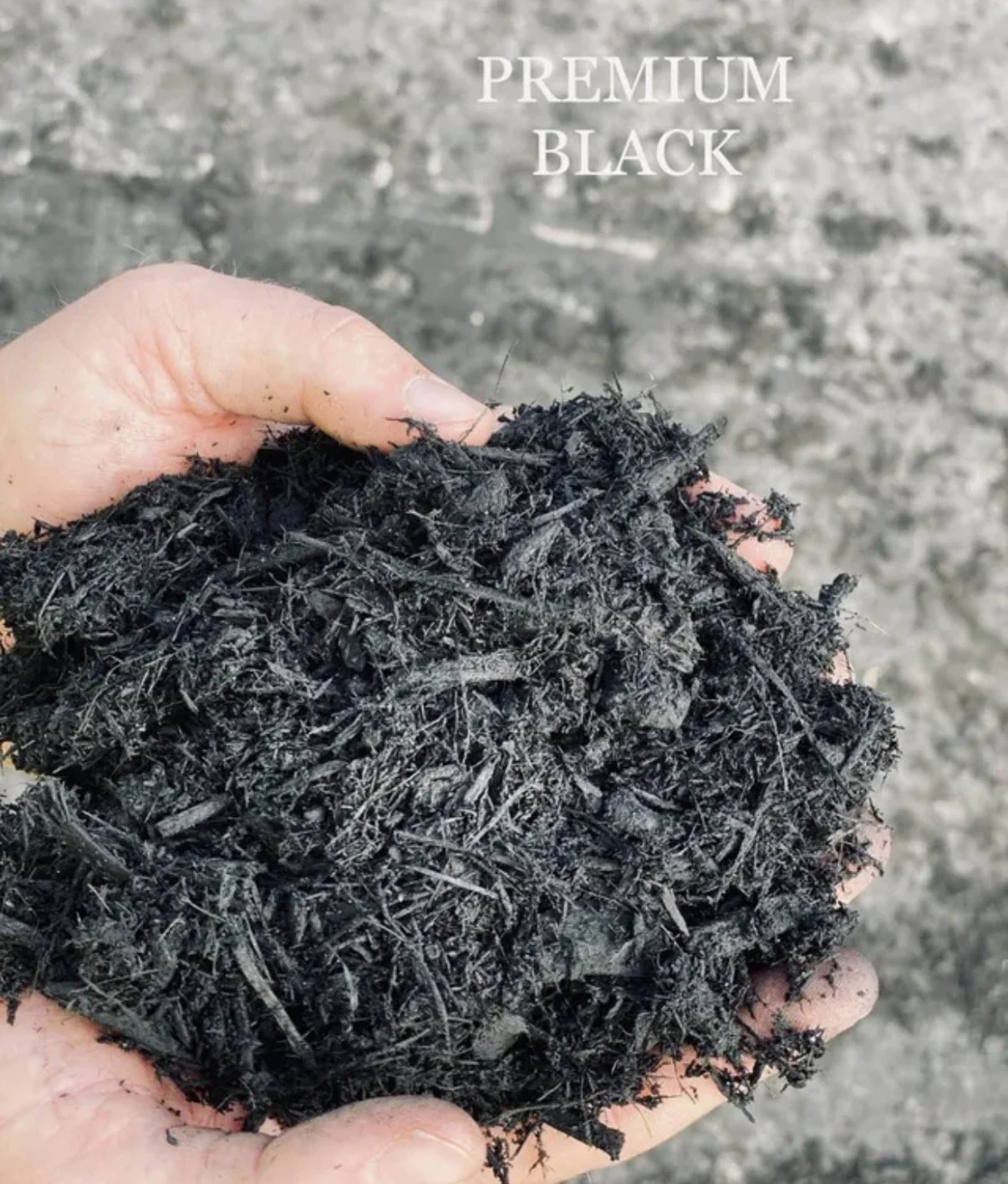A person's hand holding a handful of black soil or compost, with grey, textured ground in the background. The image has the words "PREMIUM BLACK" written on it.