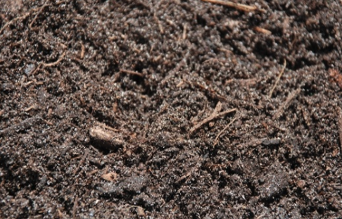 Close-up of dark, moist soil with small sticks and organic matter