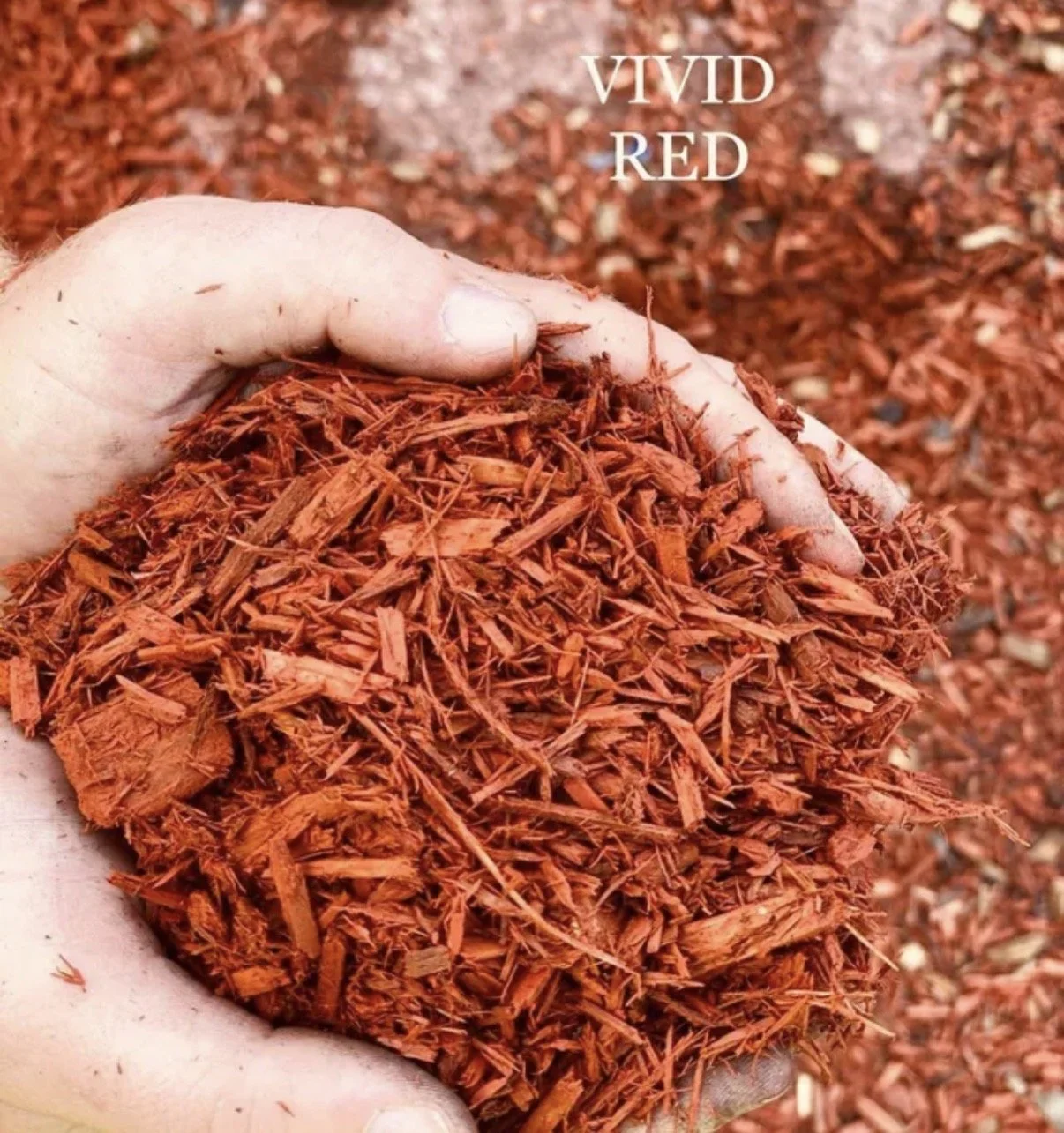 Close-up of a hand holding shredded red wood chips with a background of similar wood chips. The words "VIVID RED" are written in the top right corner.
