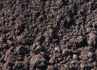 Close-up of dark, textured volcanic soil or ash.