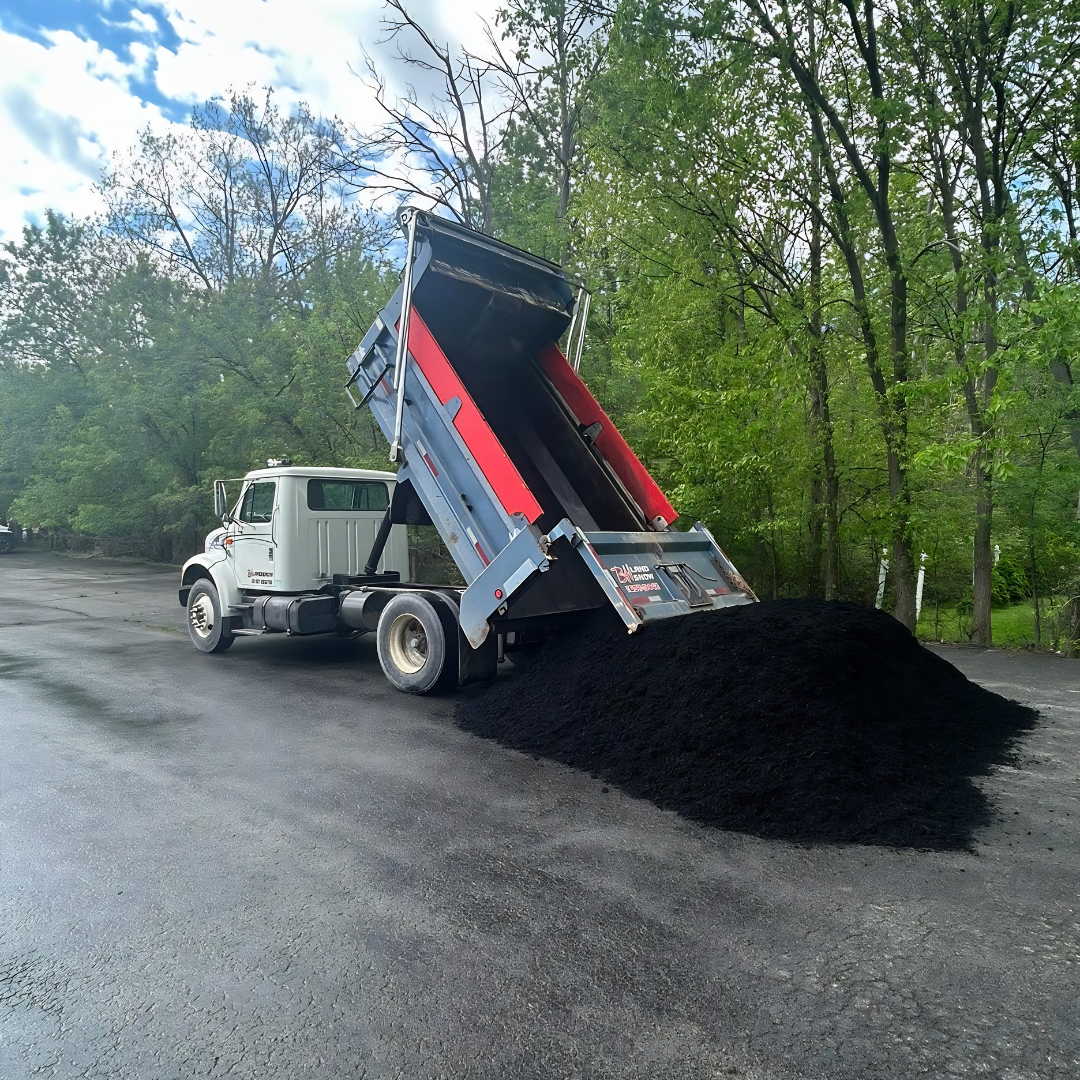 A dump truck unloading black asphalt onto a paved road surrounded by green trees.